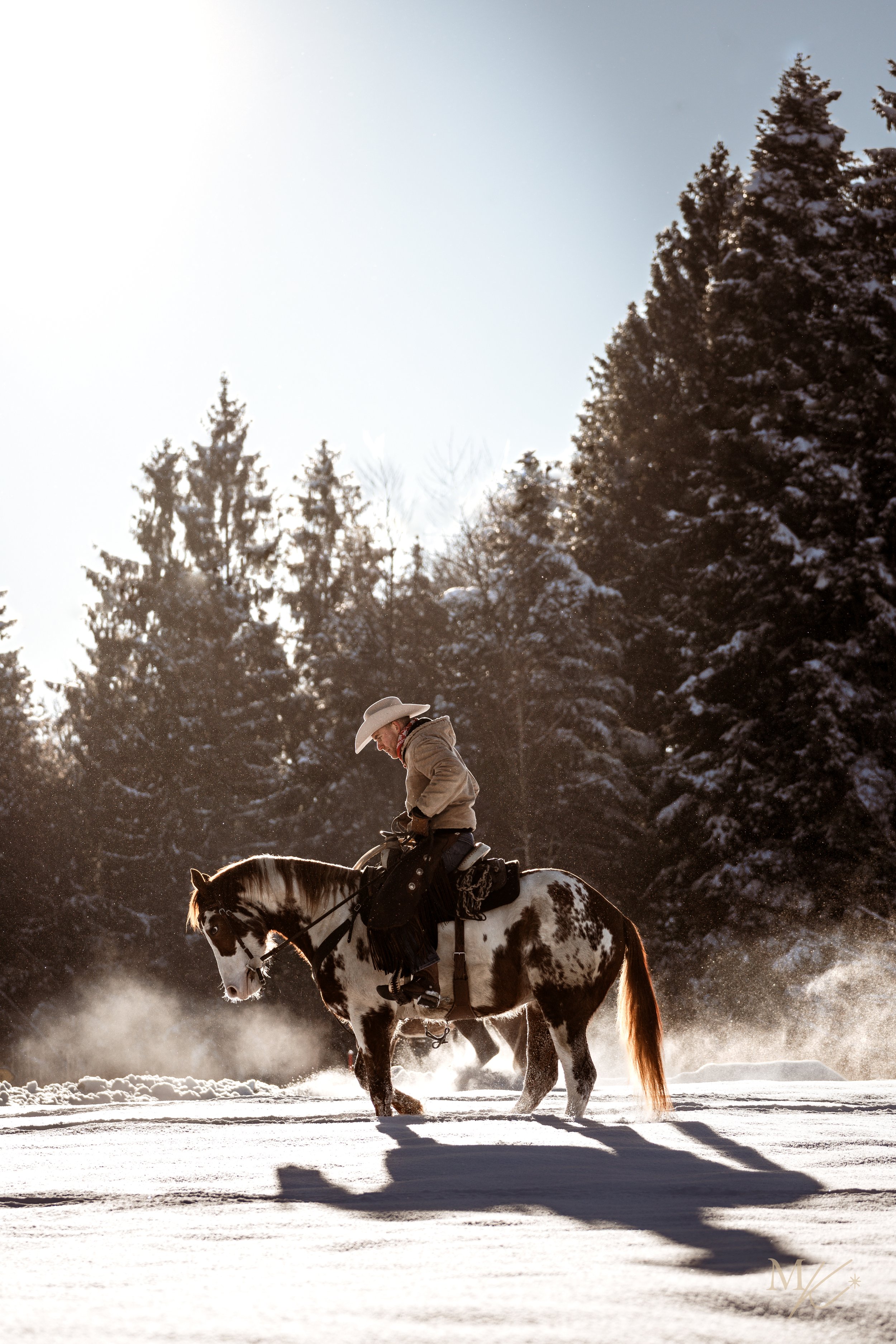 A cowboy riding a spotted horse in snowy landscape with pine trees and bright sunlight.