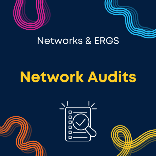 Network Audits