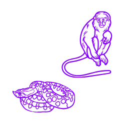 A doodle of a monkey looking nervously at a snake