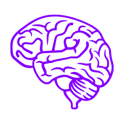 Doodle of a brain