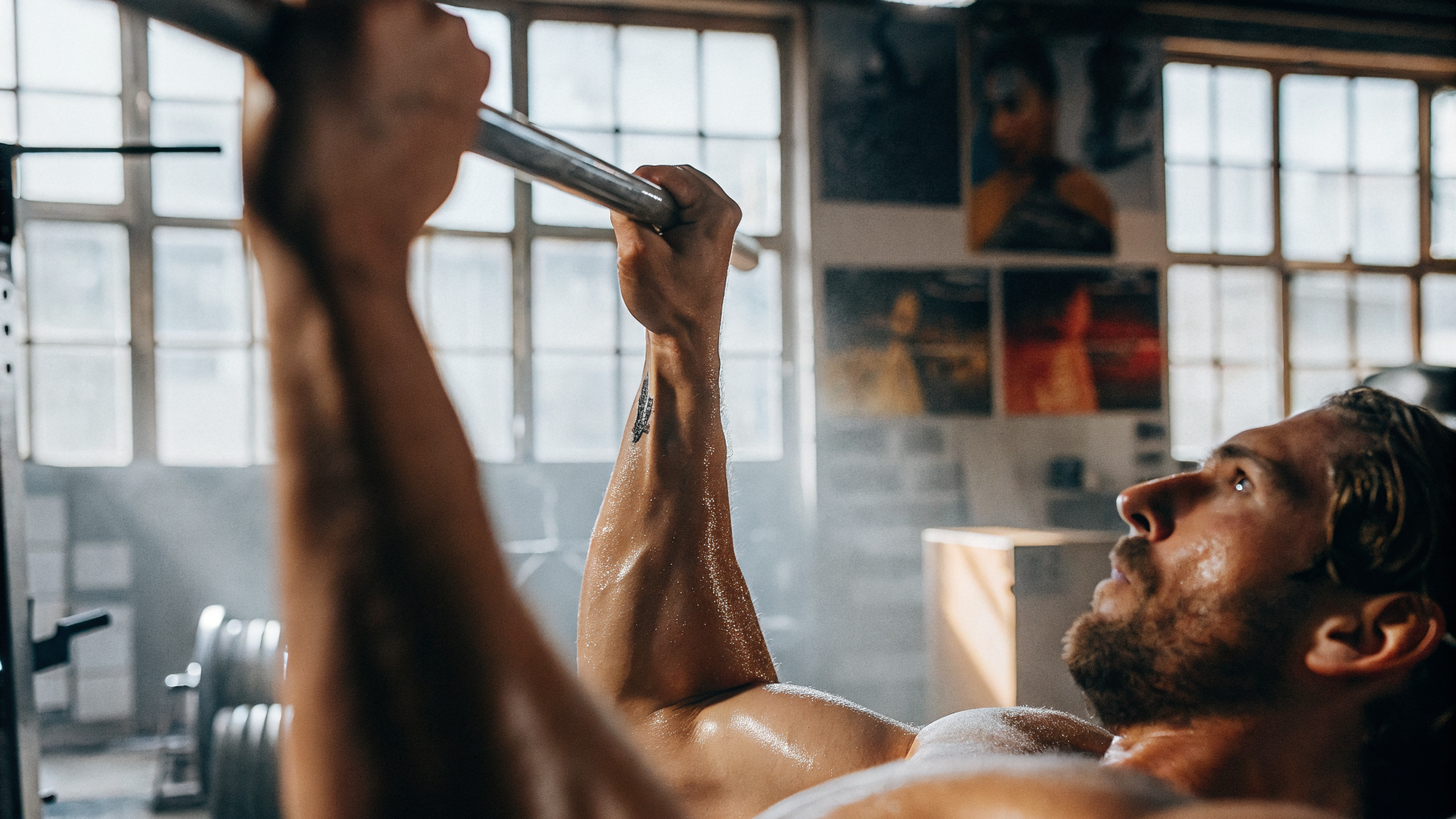 10 Herbs to Increase Testosterone in Males for Enhanced Vitality