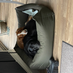 A black cat sitting on a padded surface near a round white table with a checkered box and some cables, in a cozy room.