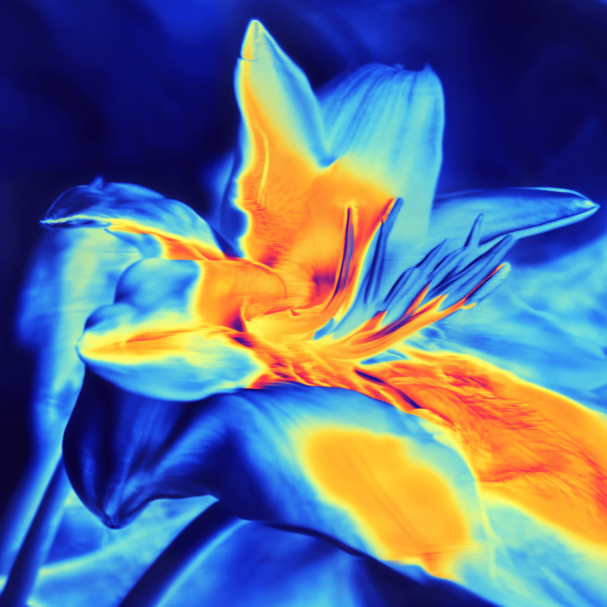 Declan Colquitt, half of the artist duo Y7, is one of this year’s invited curators of the Global Art Forum at Art Dubai. As part of the programme, the panel Is Quantum the New New Paradigm? features MOTH’s team and collaborators