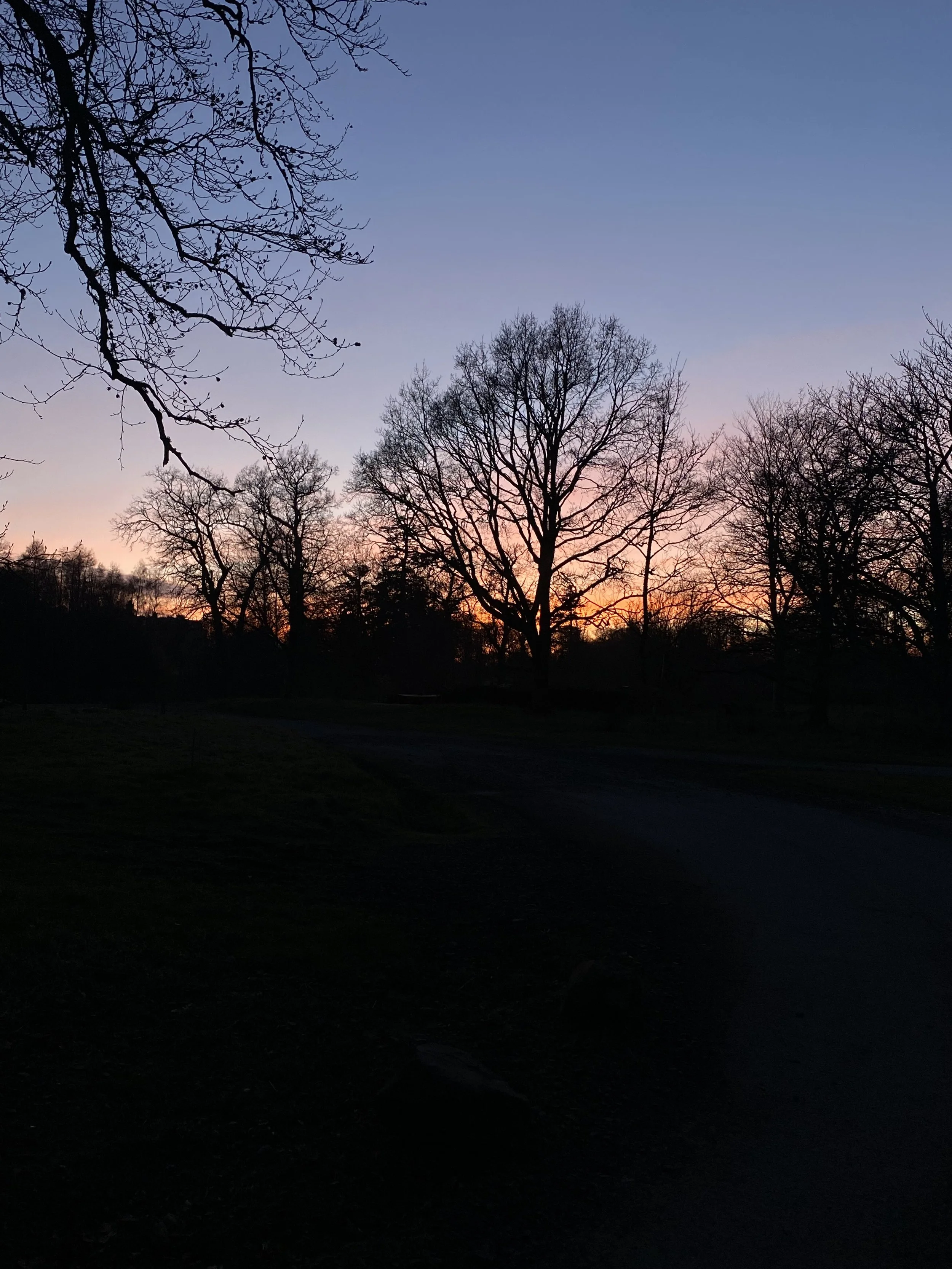 sunset.jpeg