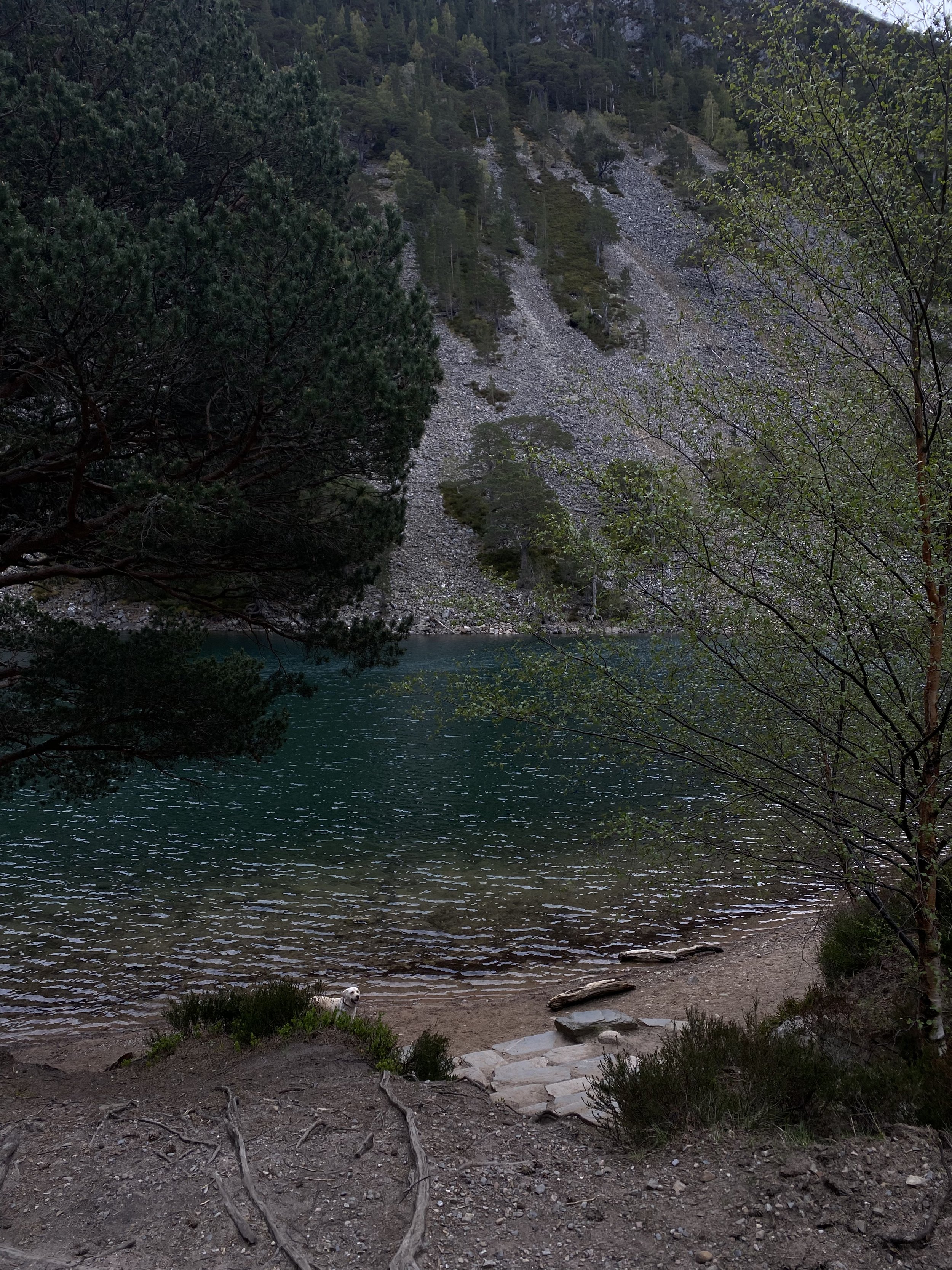 IMG_1741.jpeg