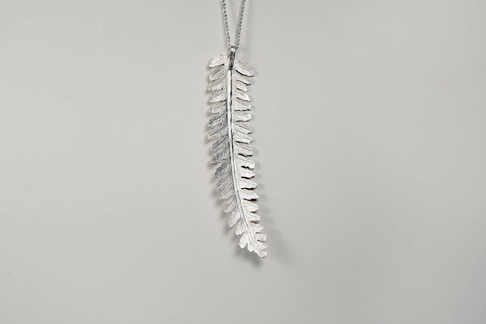 JA_Fern_2_Back low res.jpg