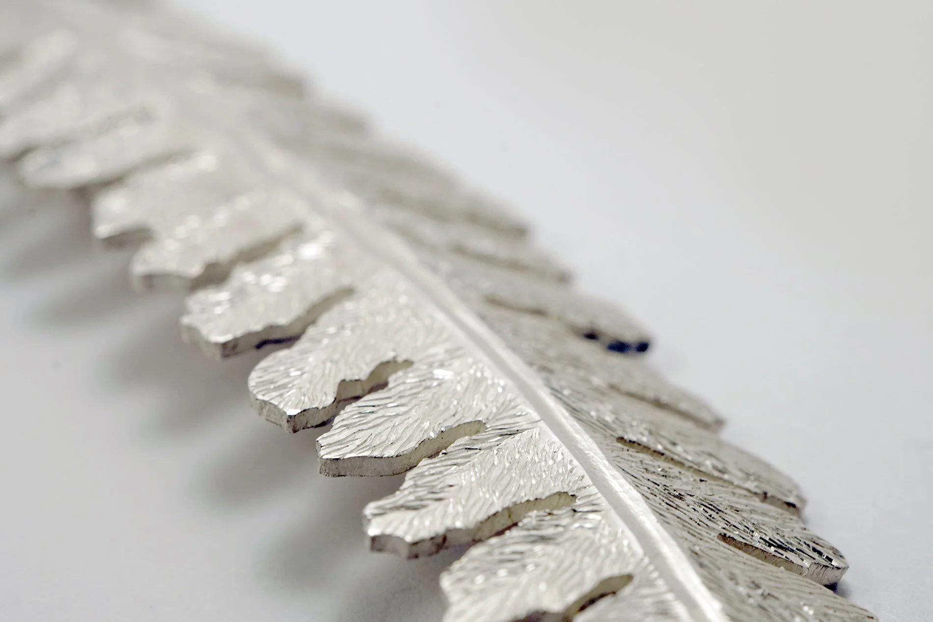 JA_Fern_Front_Detail_2 low res.jpg