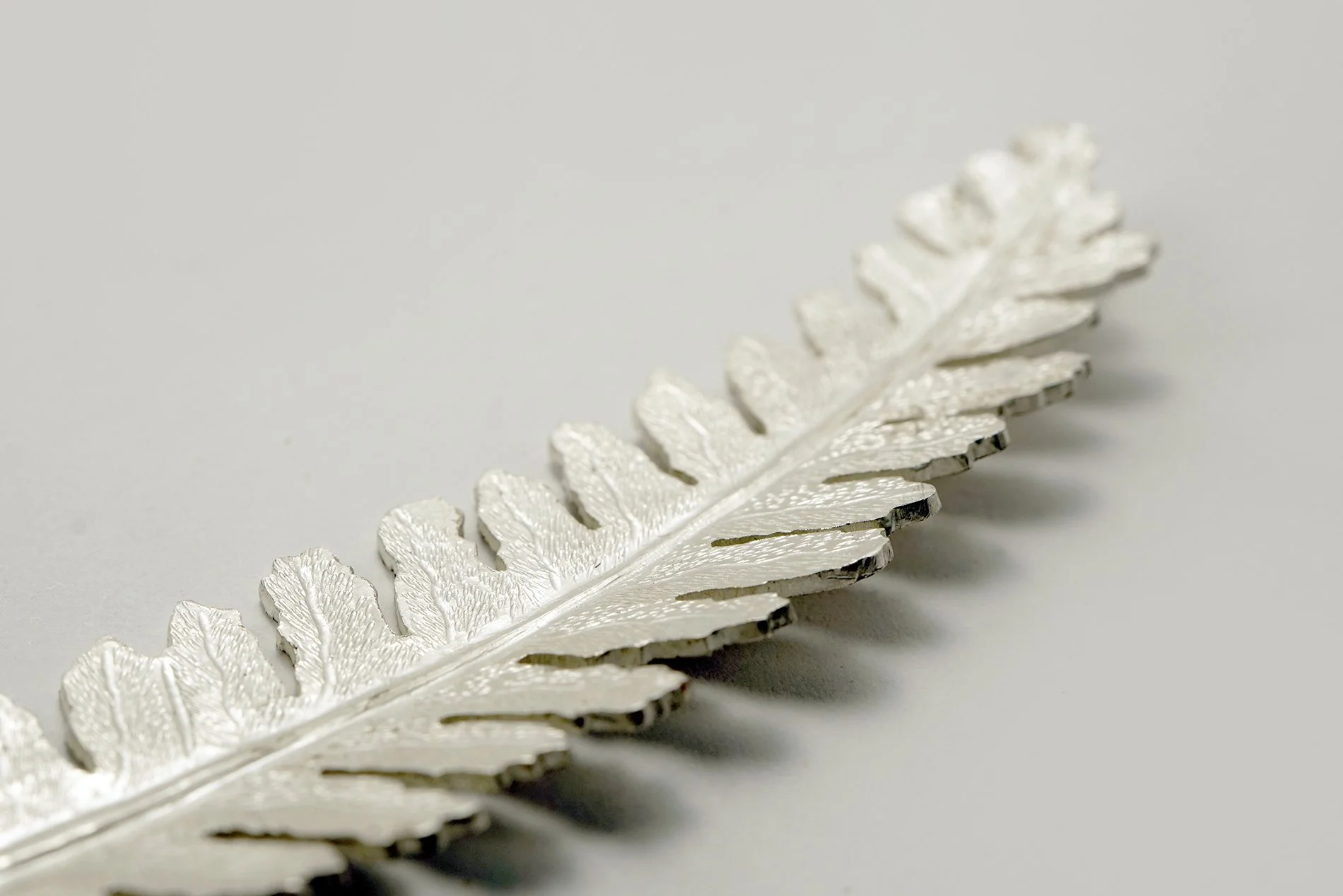 JA_Fern_Back_Detail_2 low res.jpg