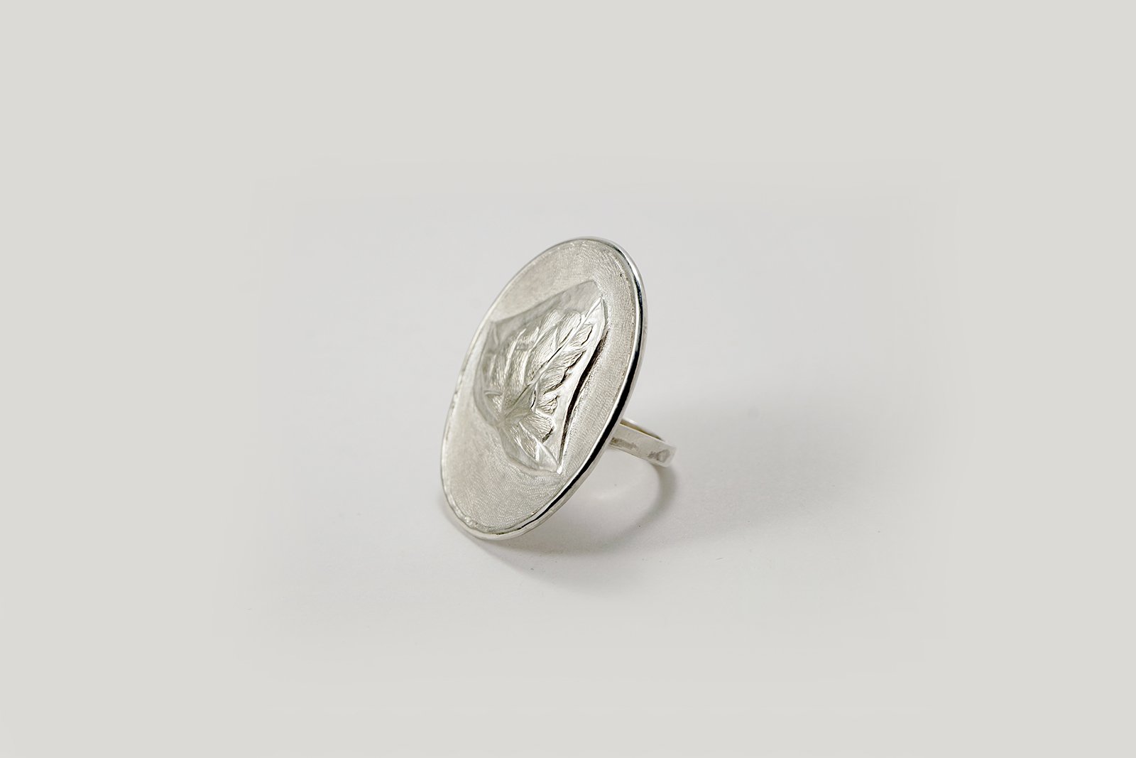 JA_Big Ring_3 low res.jpg