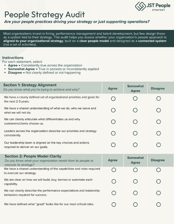 People Strategy Audit Tool