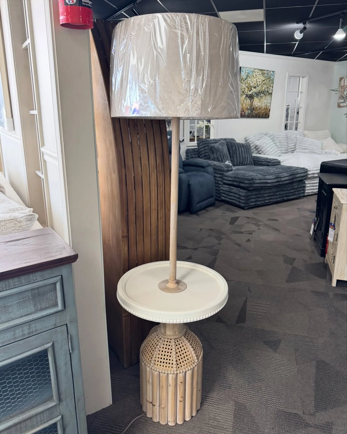 The right lighting can completely change the feel of a room. Whether you need a tall floor lamp to anchor a corner or a stylish table lamp to add warmth to an end table, we have a variety of options to choose from.

Lighting is more than just functio