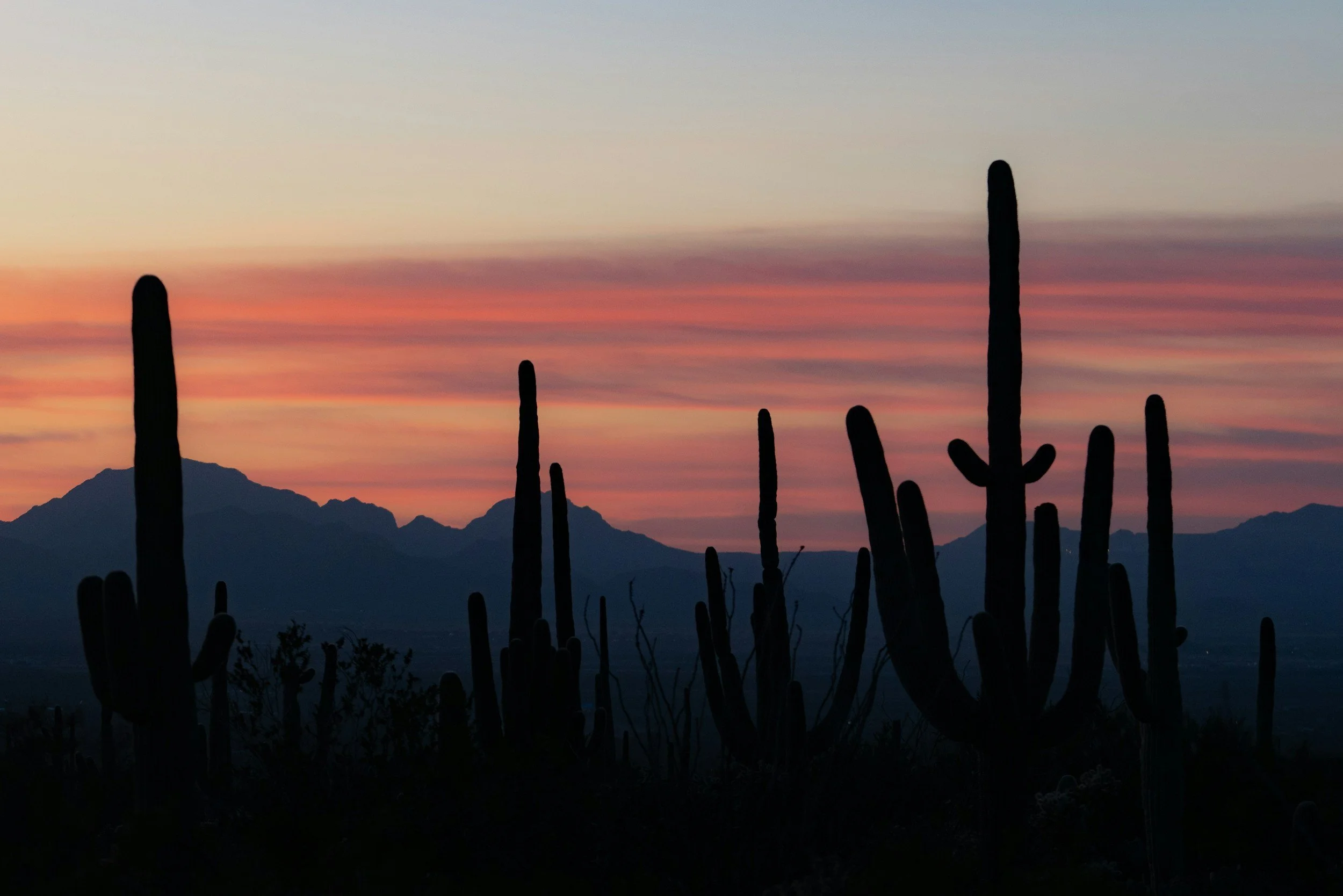 FAA airspace overhaul to deepen Phoenix’s ‘flight blight crisis’ with up to $1.8 billion in property value at risk
