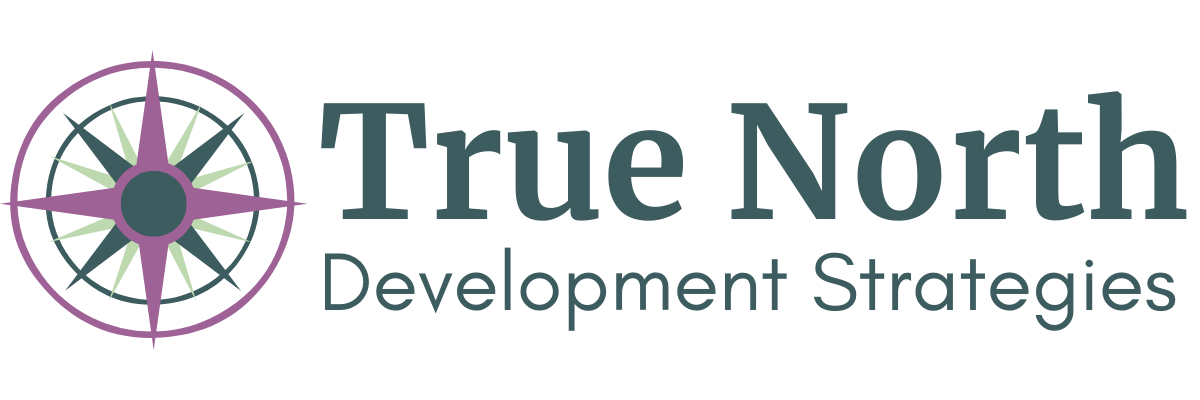 True North Development Strategies