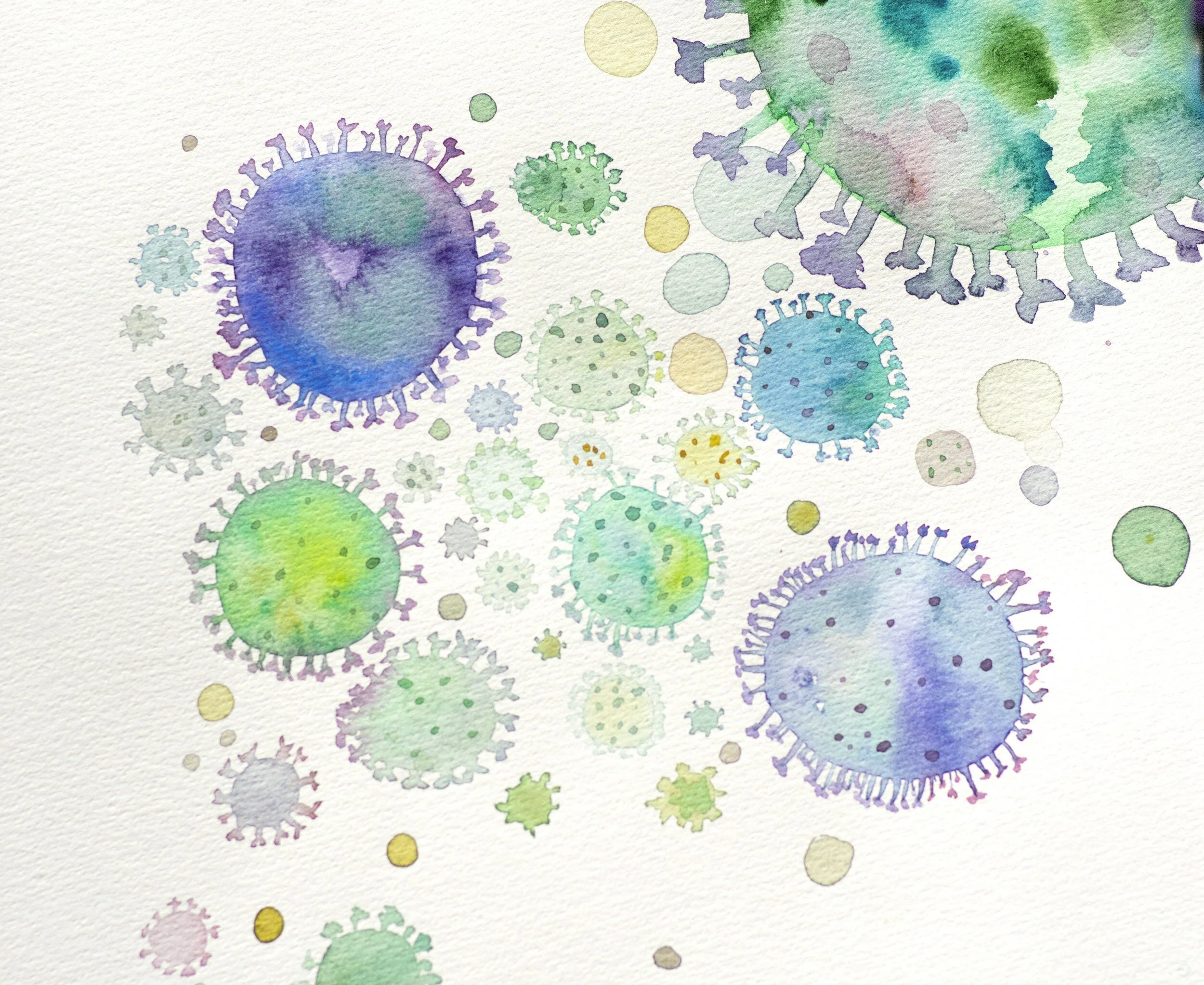 Not so measly Measles….