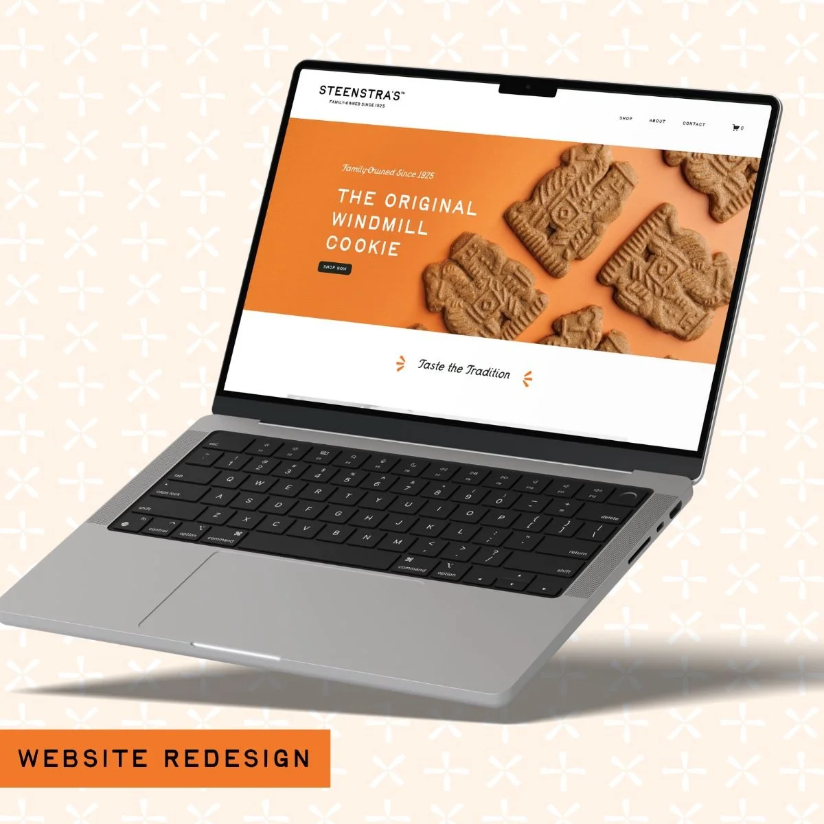 Steenstras Website Redesign.jpg