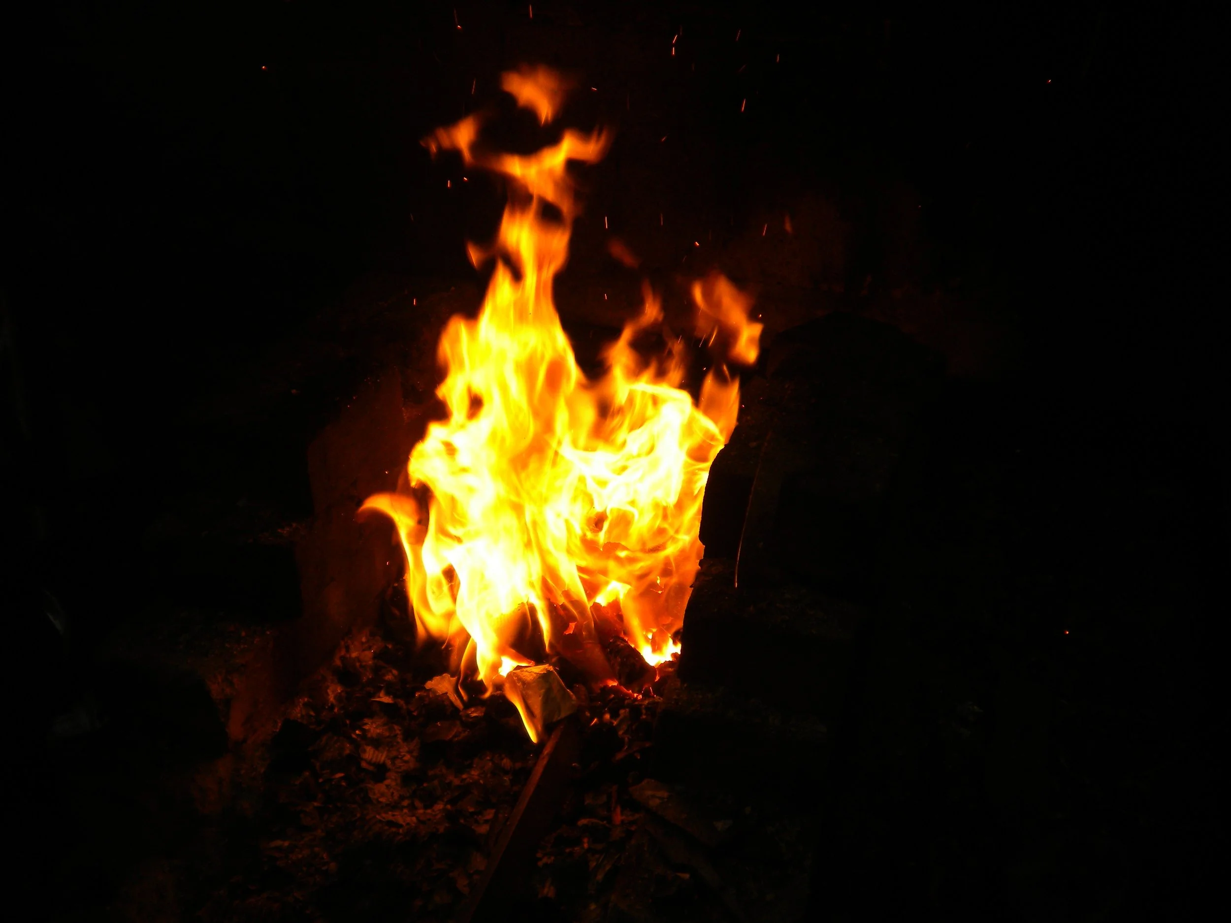 DSCN0331.jpg