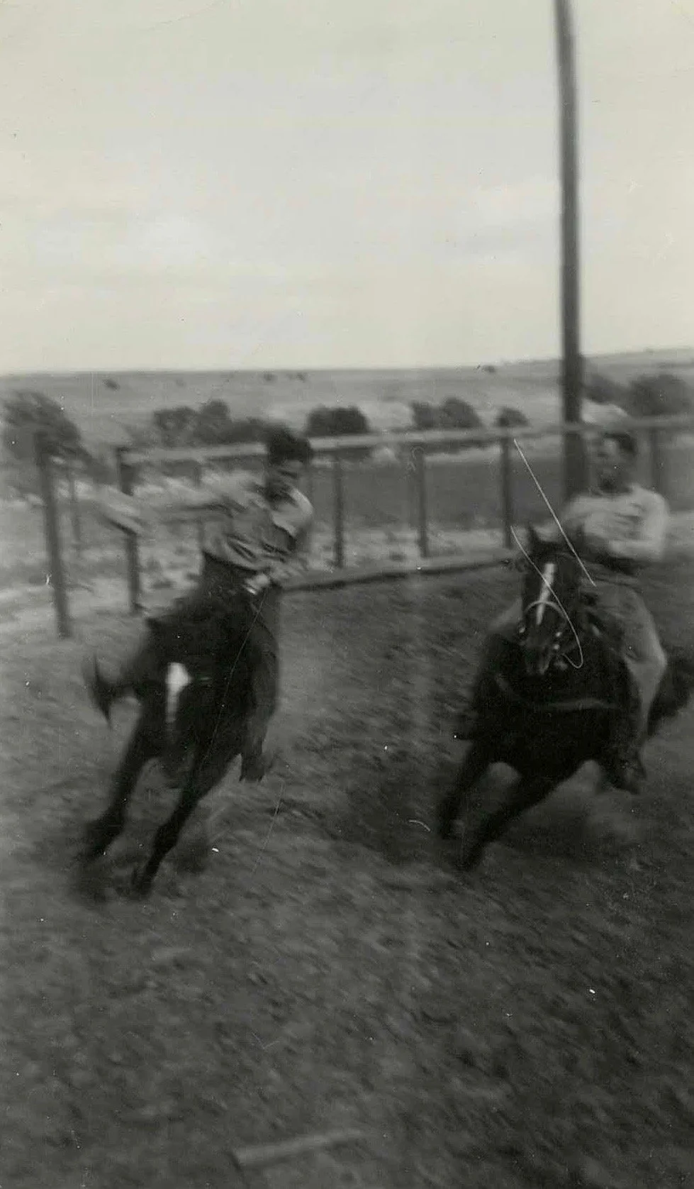 The Pony Presents ✶ The Monks of Saturnalia
