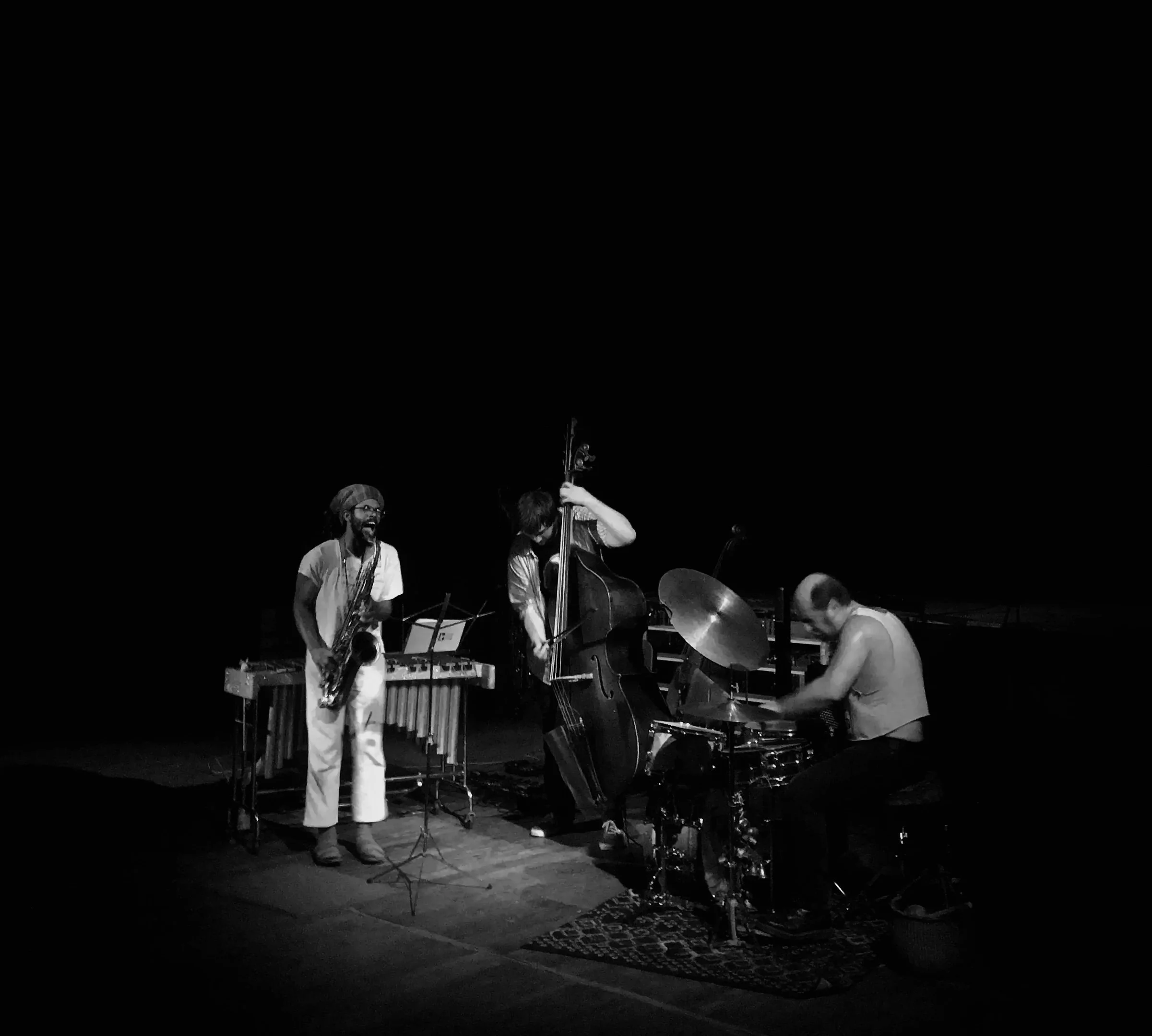 The Pony Presents ✶ Trio Glossia