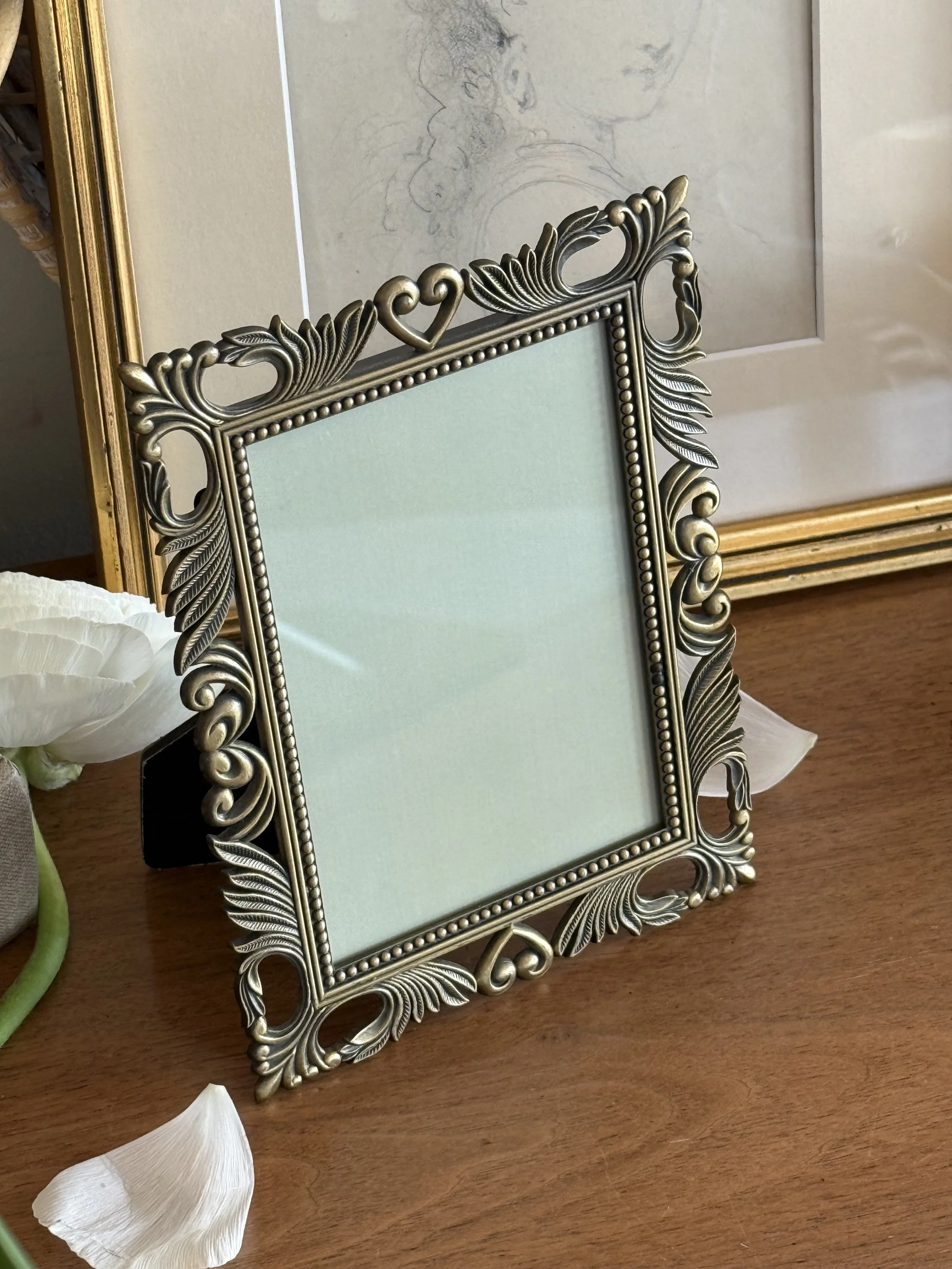 IMG_7649.JPEG