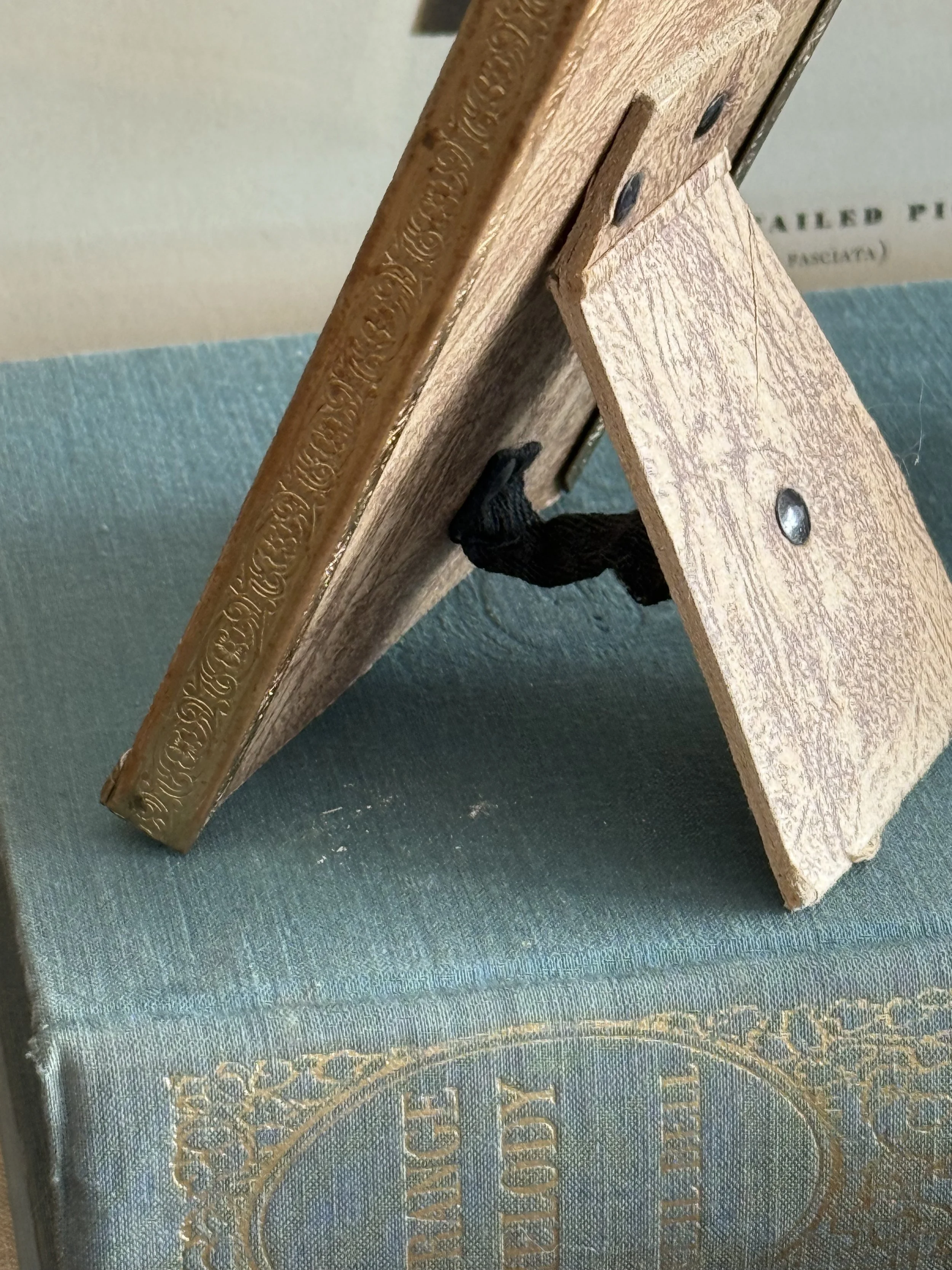 IMG_8301.JPEG