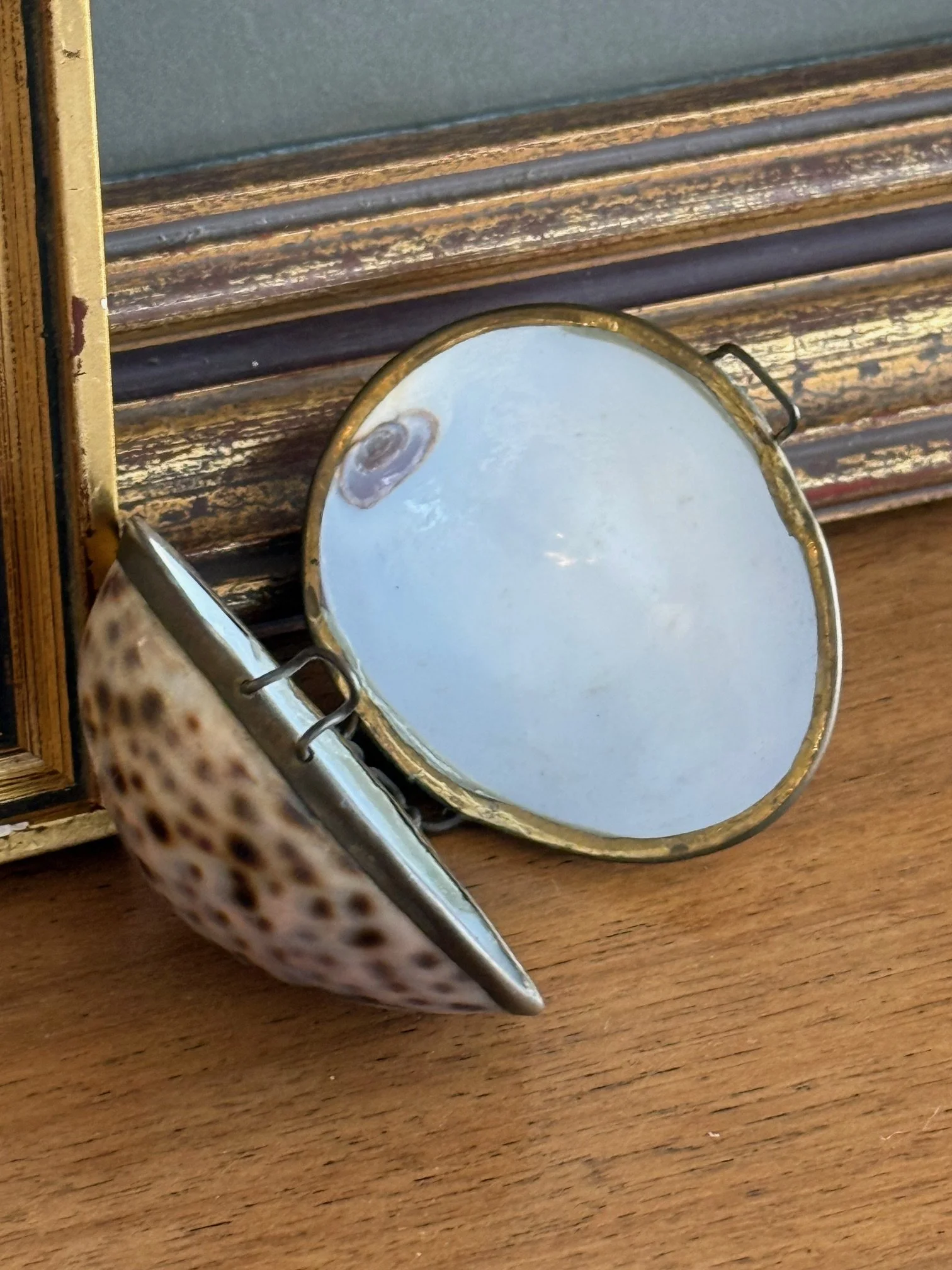 Vintage Cowrie Shell Hinged Jewelry Box