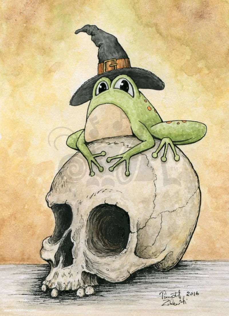 The Witch's Frog