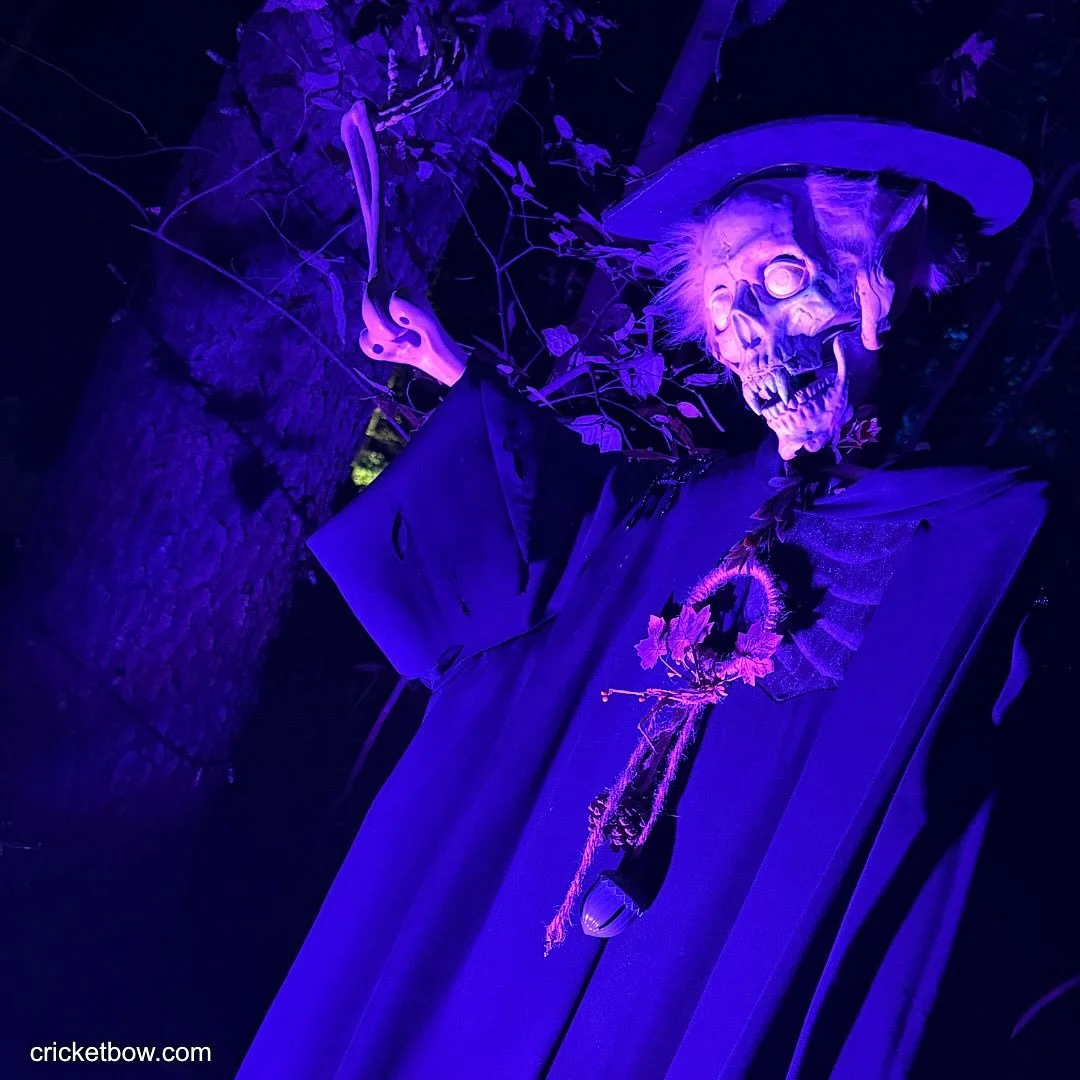 I hope everyone has a fun and spooky Halloween! 🎃 👻
Here&rsquo;s some pics from some Halloween festivities. 
#happyhalloween #halloween