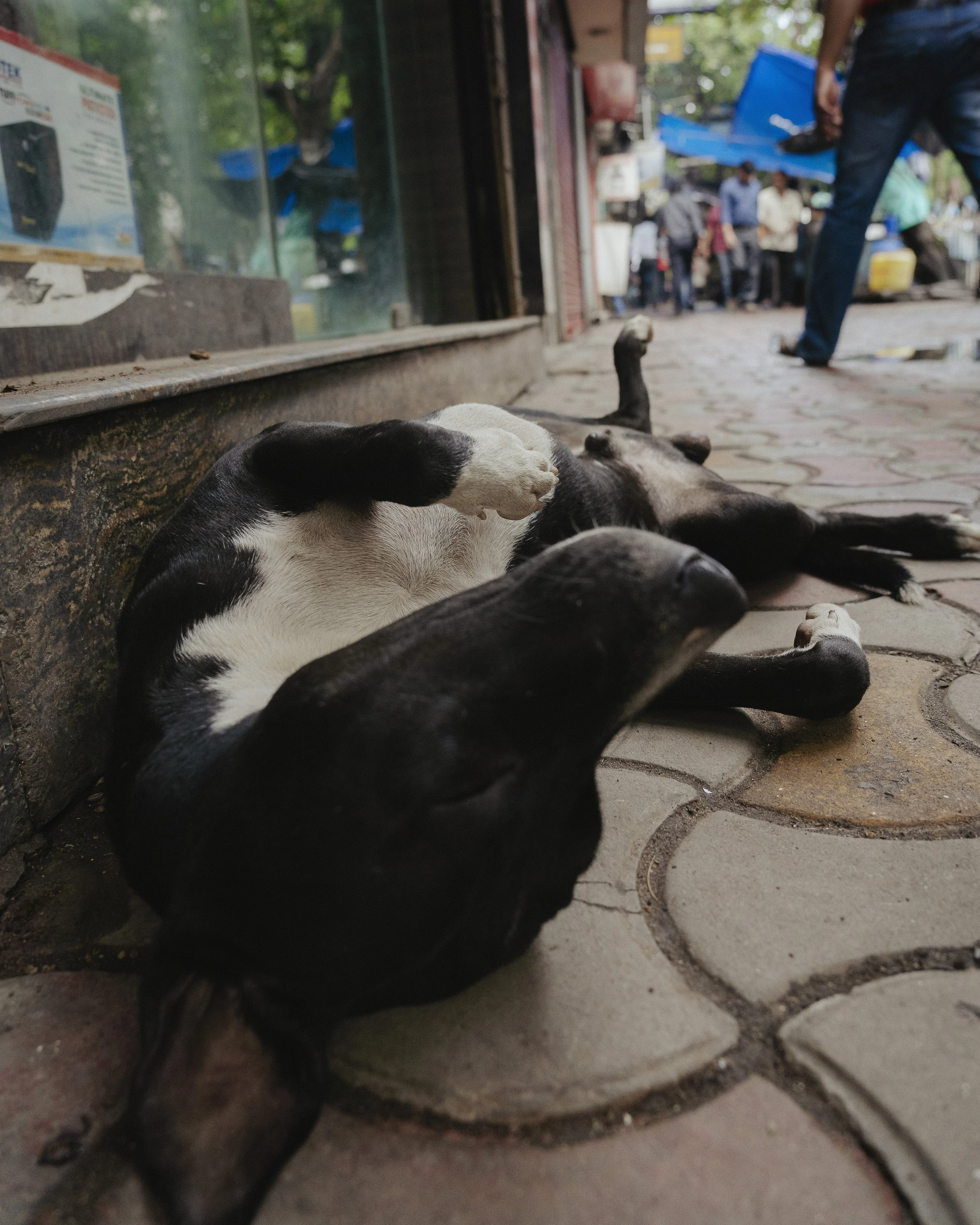 INDIA_19_AC_WEB-11.jpg