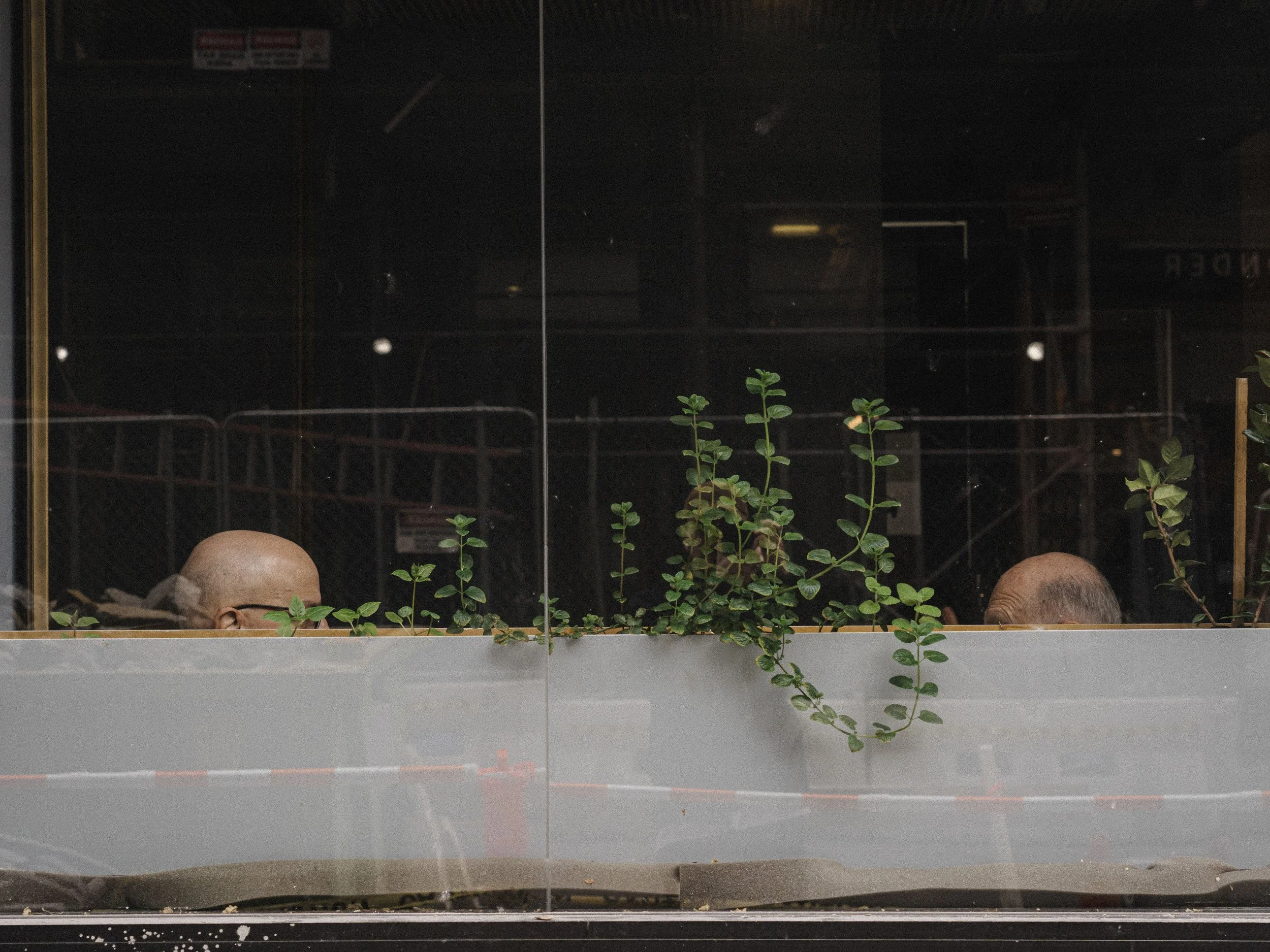 NYC_AC_WEB-16.jpg