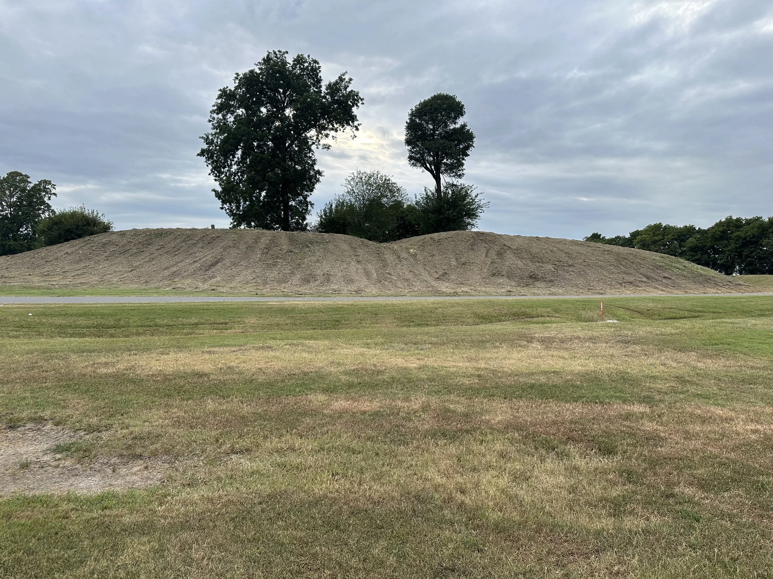 A grassy field with a mound of dirt and two tall trees in the background, under a cloudy sky.
