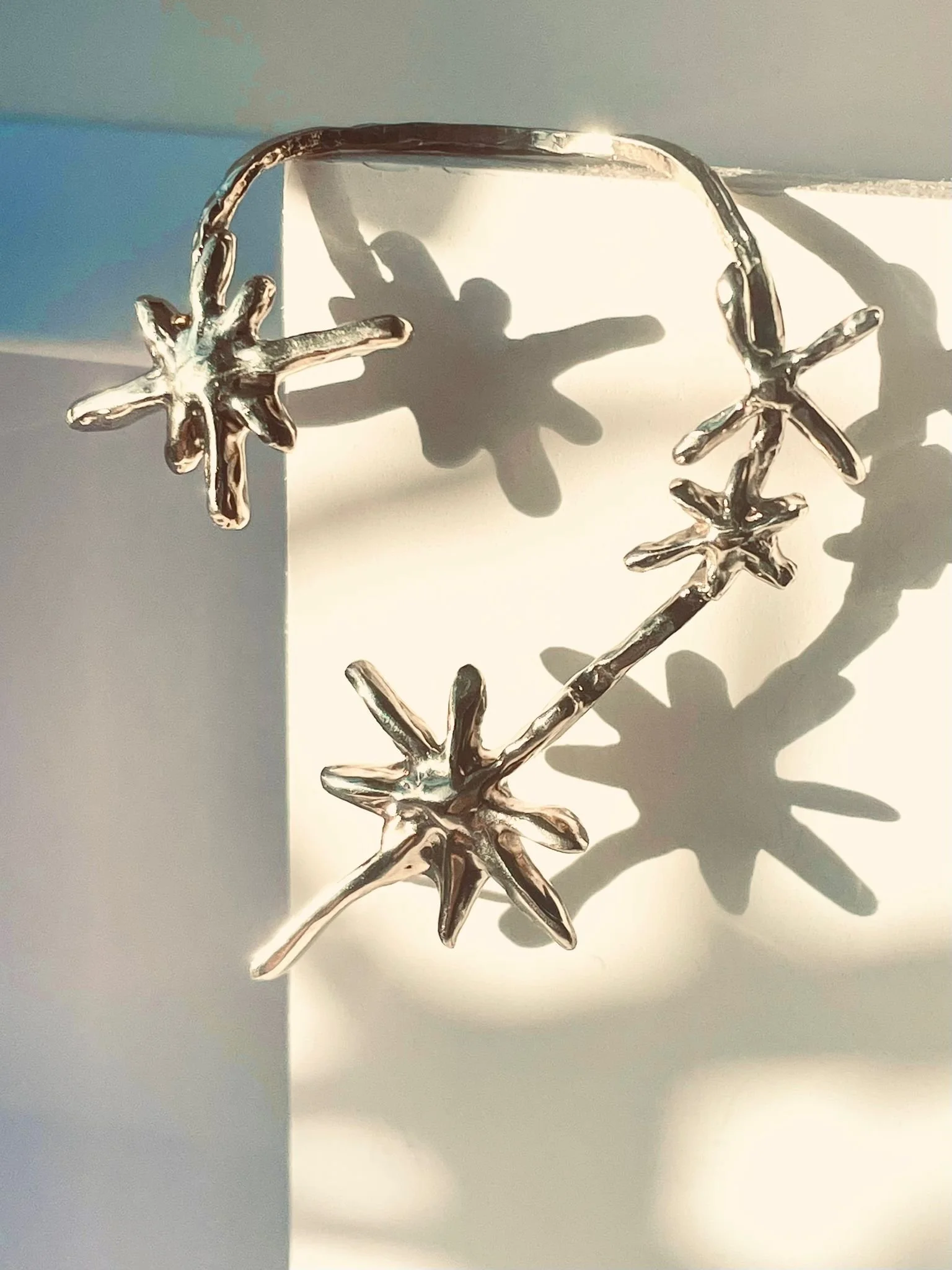 WhatsApp Image 2025-12-05 at 12.52.58 (1).jpeg