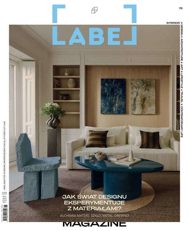 Un salon intérieur avec un canapé blanc, des coussins bruns et noirs, un fauteuil bleu, une table de salon bleue, des œuvres d'art sur le mur, une étagère avec des objets décoratifs et une grande plante dans un vase, vue depuis une porte avec volets.