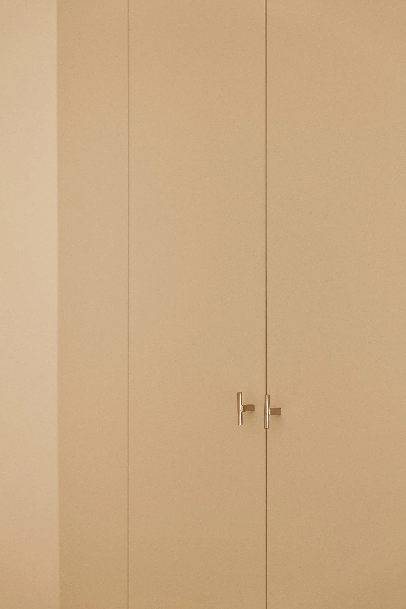 Porte de placard beige avec deux poignées en métal.