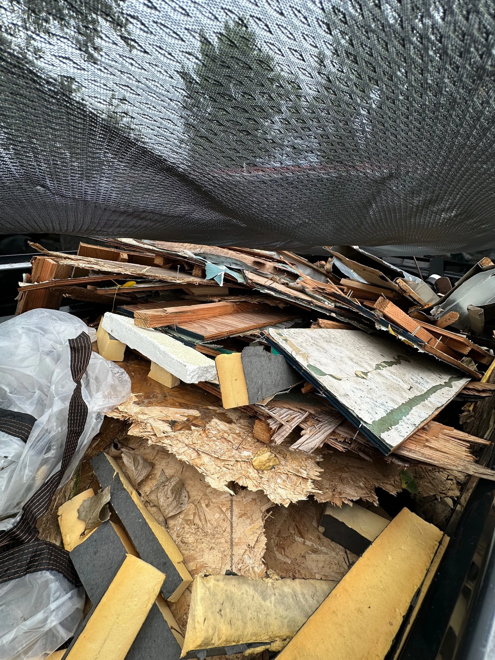 image2 (3).jpeg