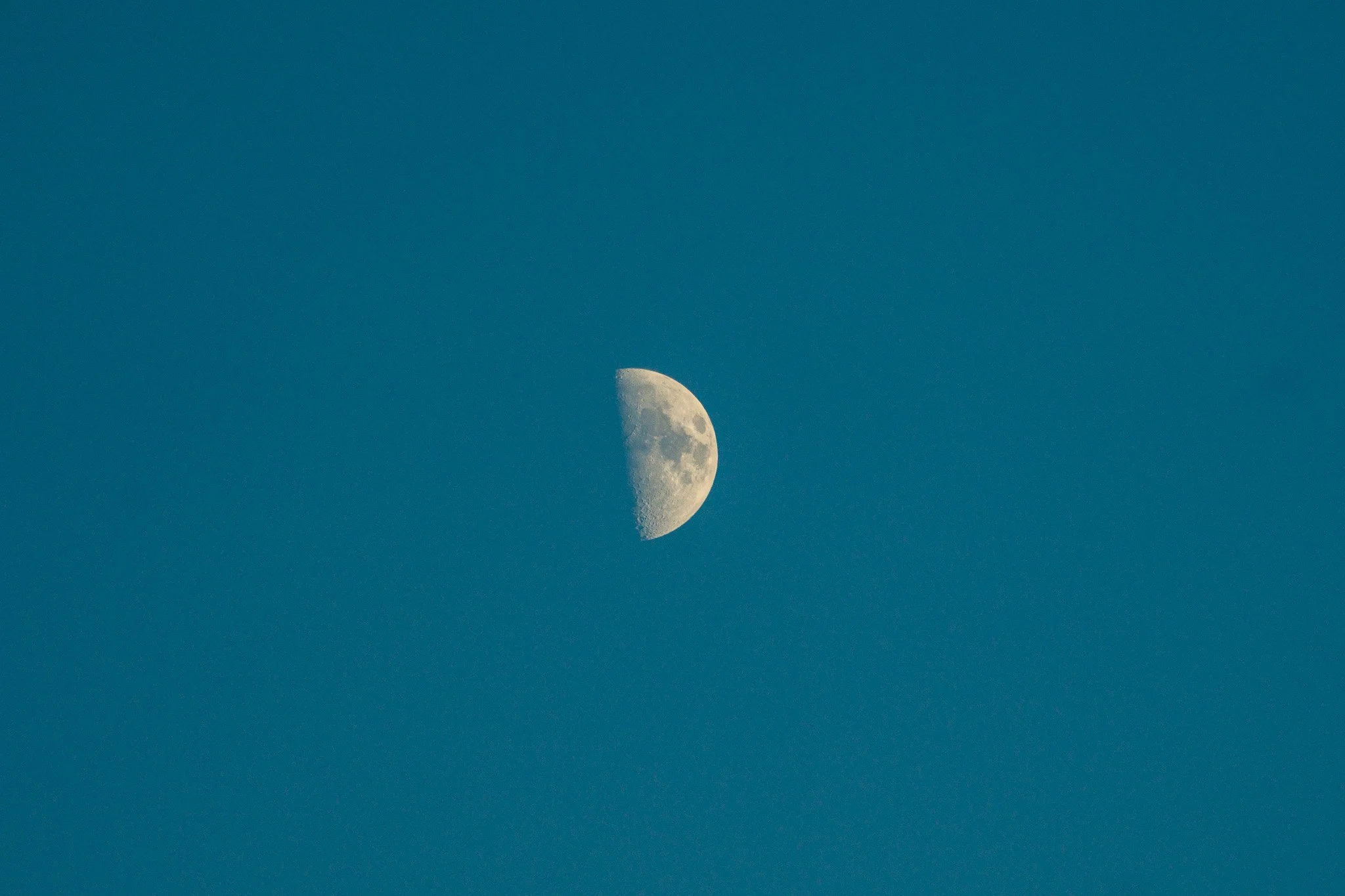 DSC06130.jpg