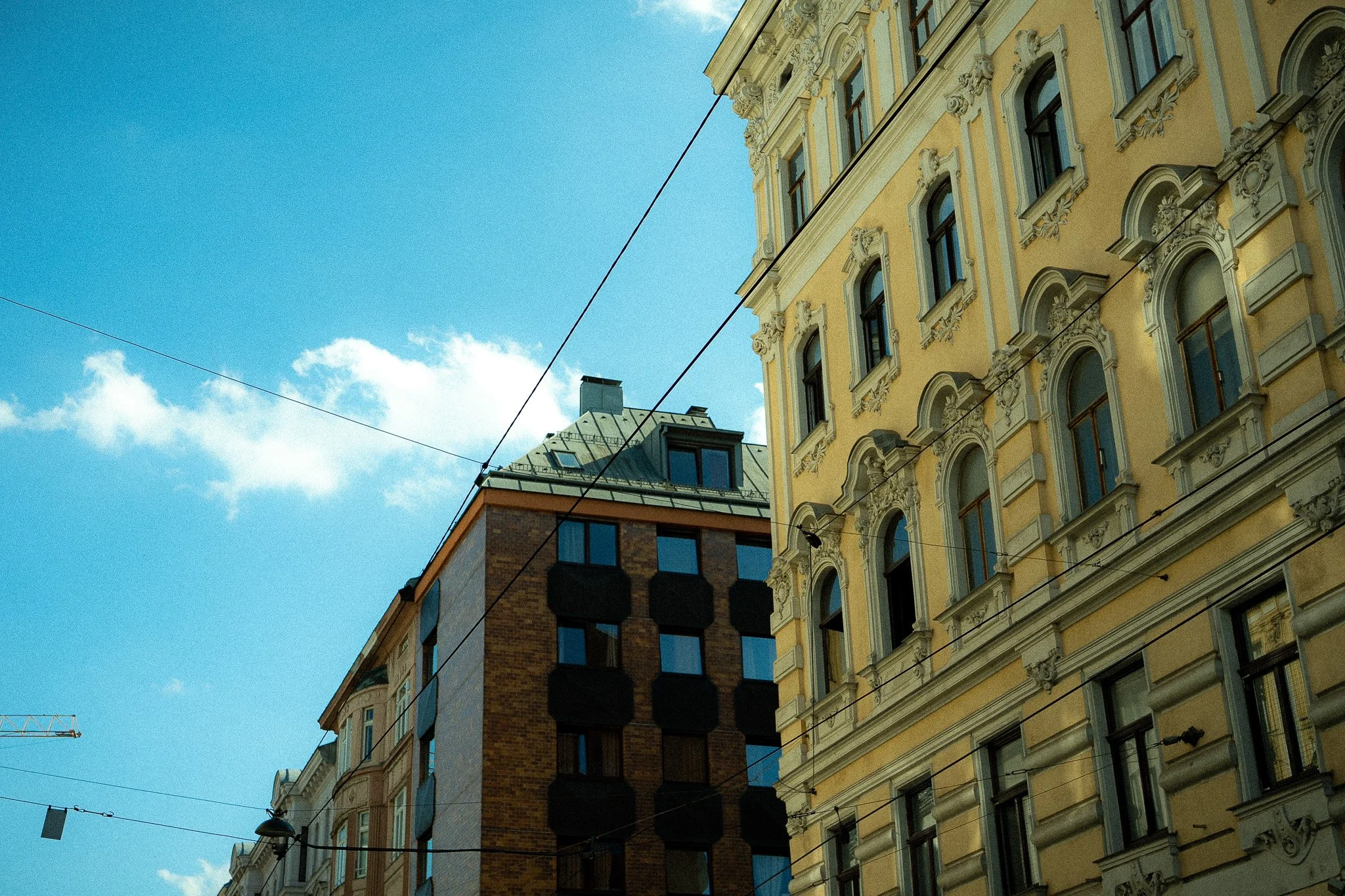 DSC05104.jpg