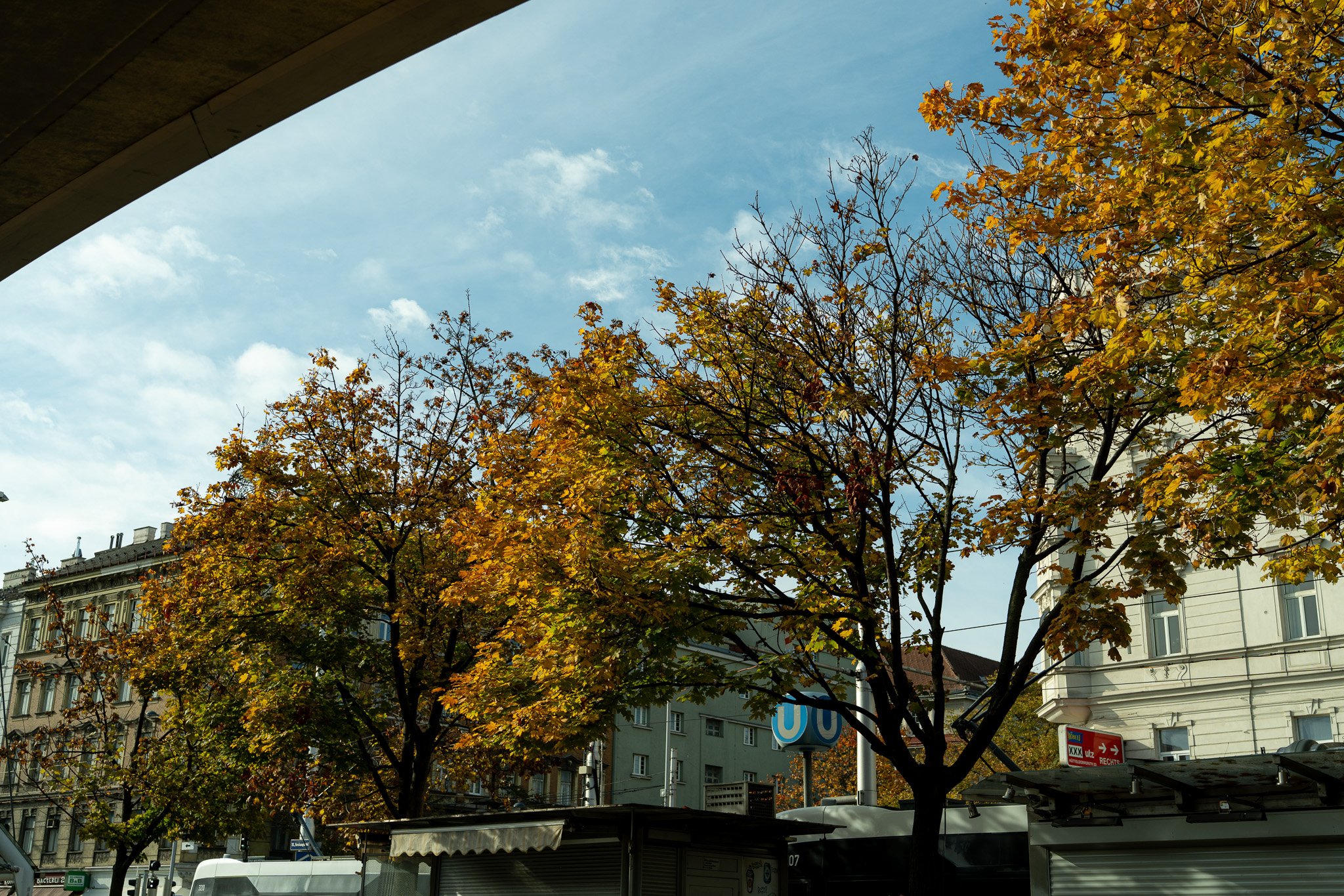 DSC08652.jpg