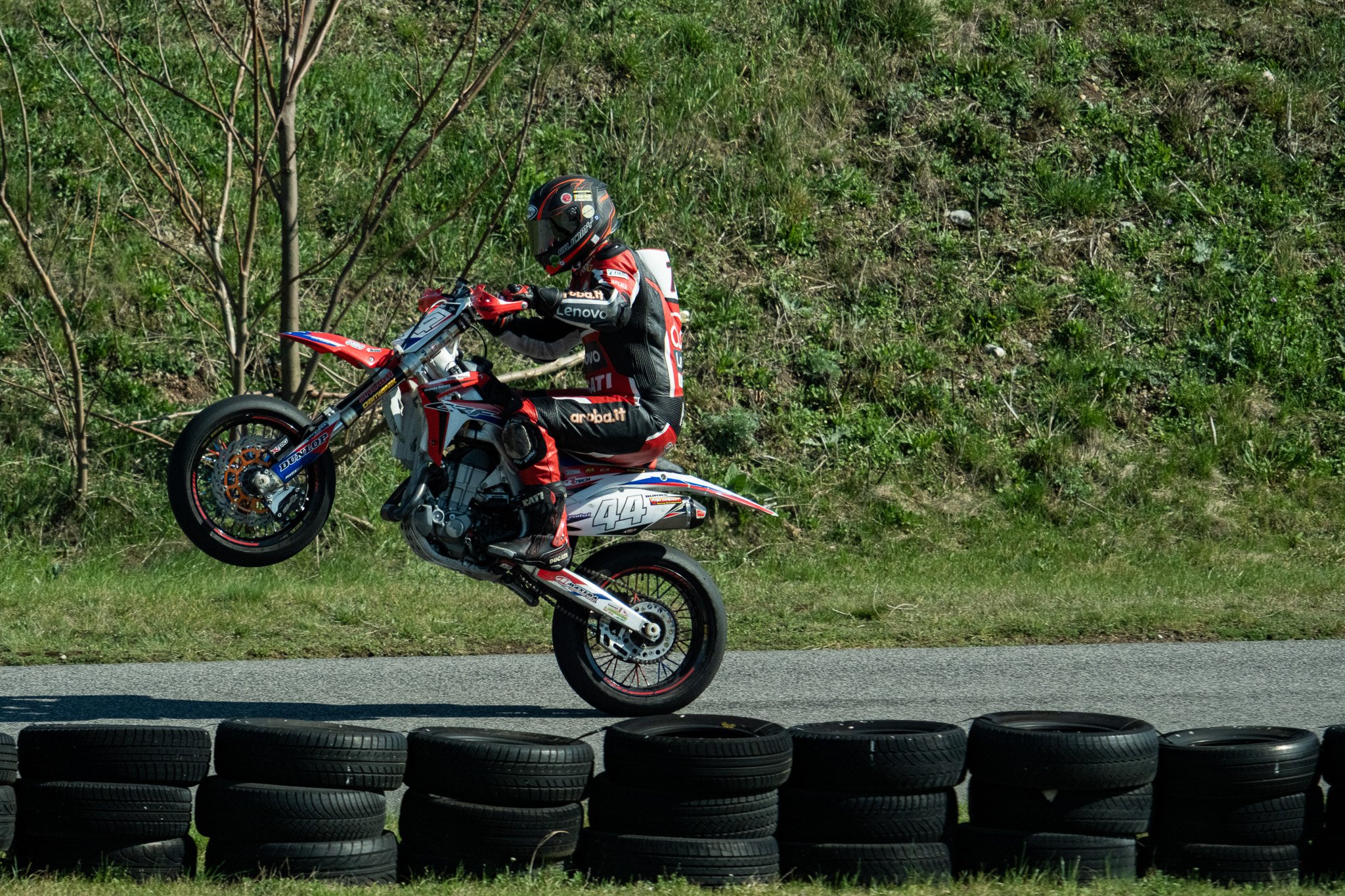 FUJI1083.jpg