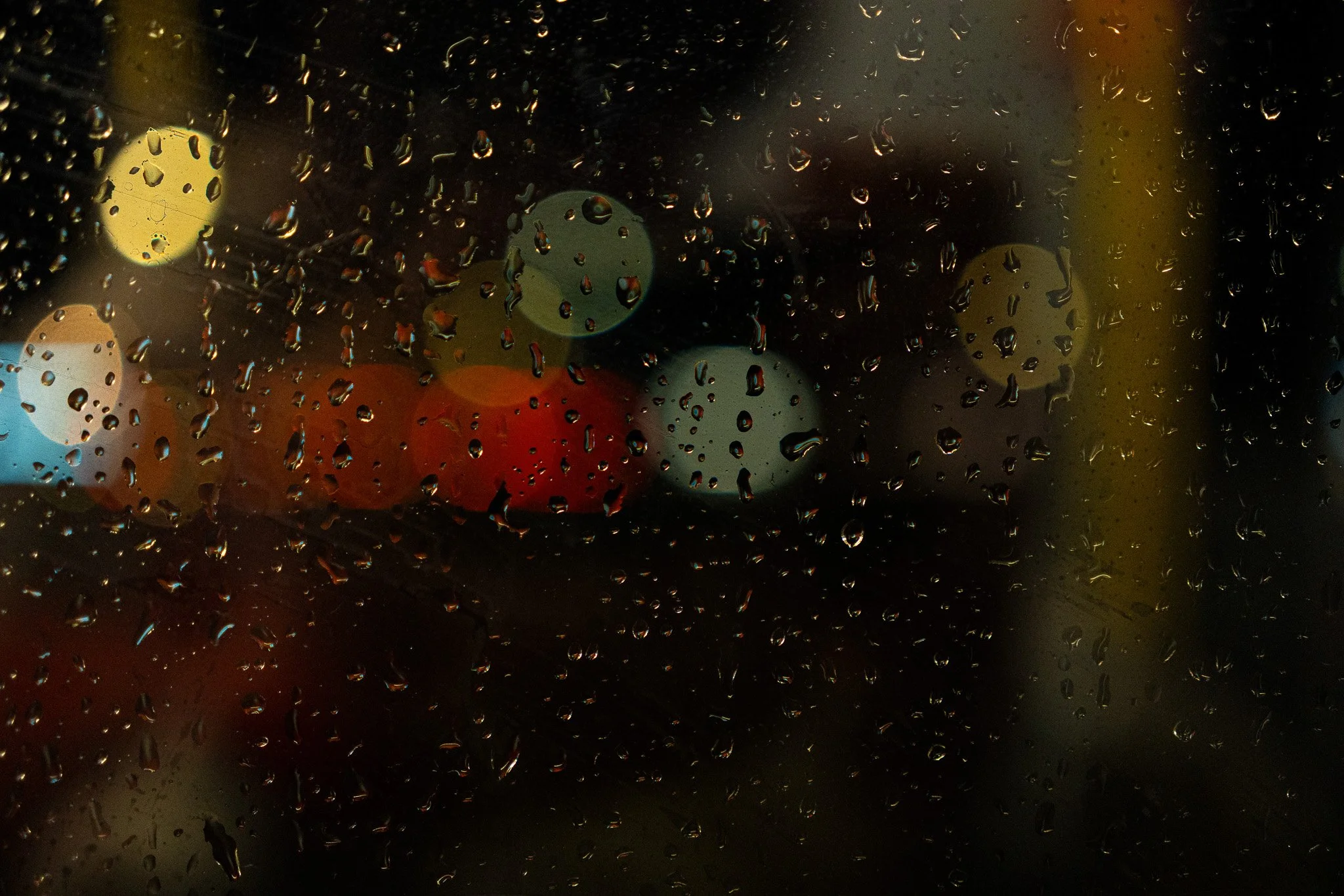 DSC08678.jpg