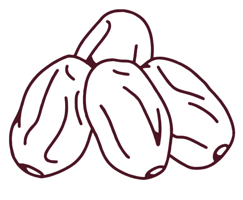 Line drawing of medjool dates.