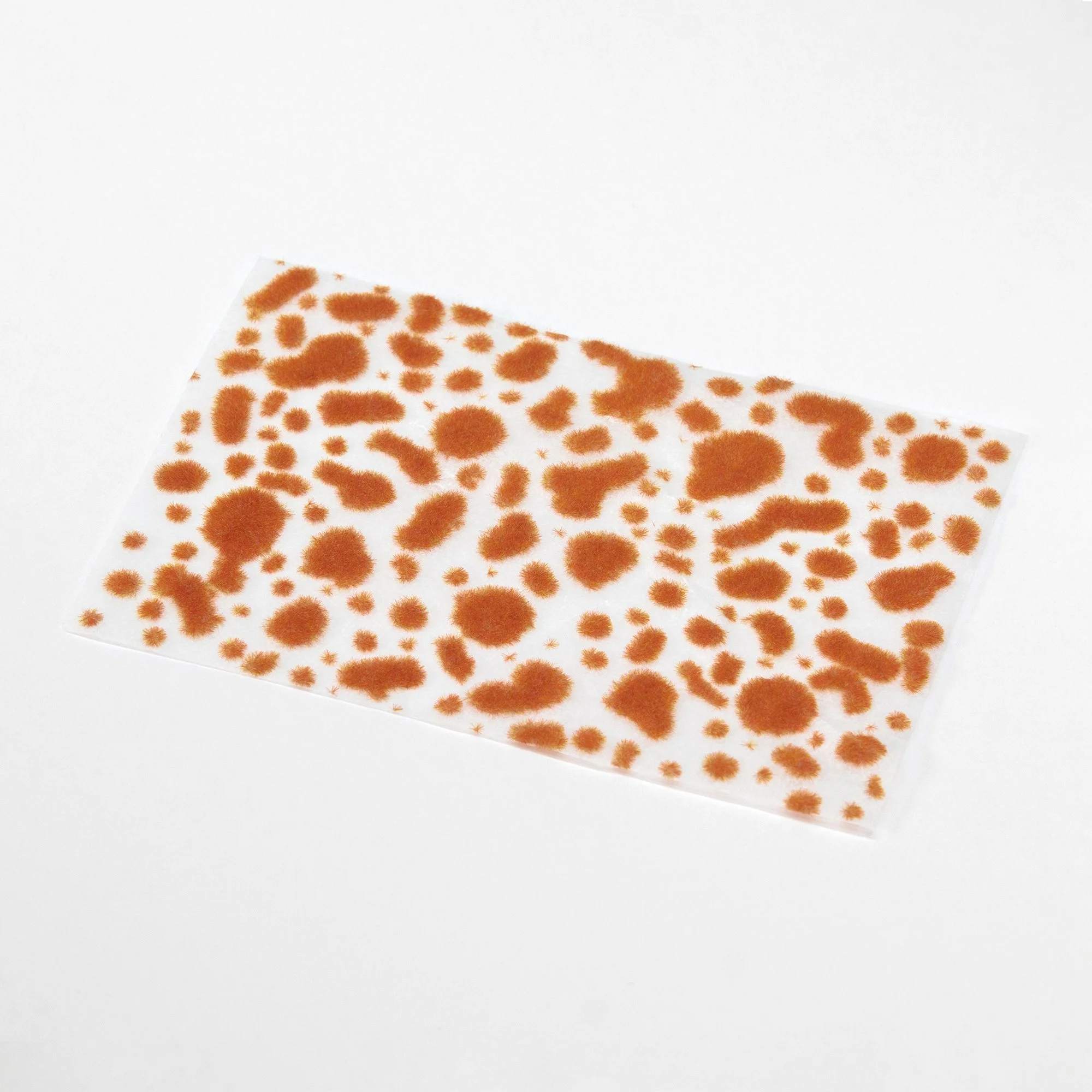 SIEGE SCENICS ATMP08 TIGER SUNRISE ORANGE MOSS AUTUMN SHEET.jpg