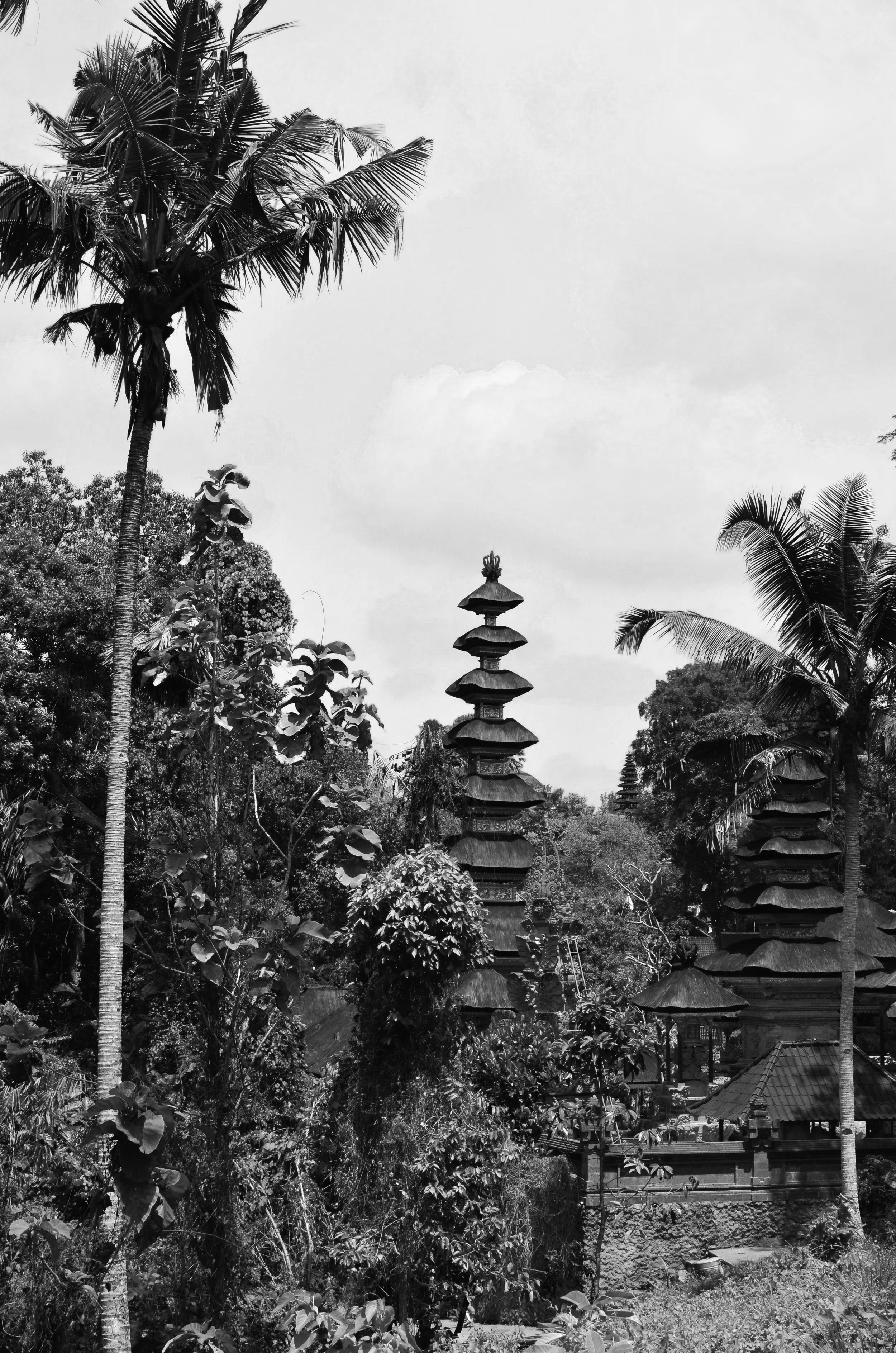 Governing Interfaith Relations