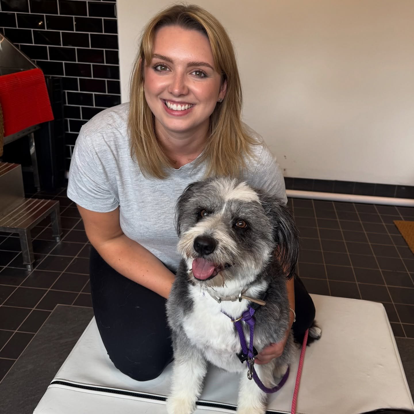 At Gryffe Chiropractic, we focus on helping people move well, feel better and stay active. But did you know that Stephanie also provides chiropractic care for animals through McGregor Animal Chiropractic?

Just like people, animals can develop stiffn