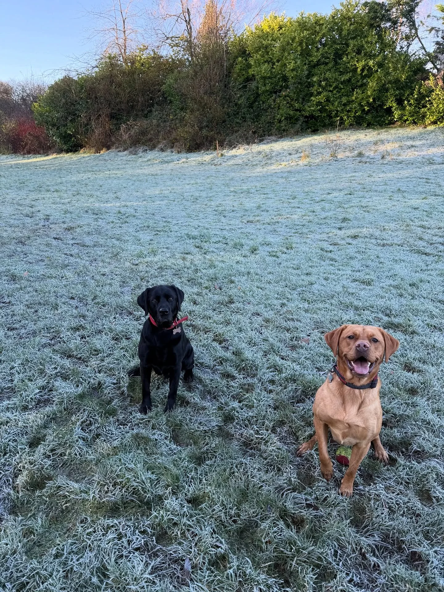 Happy Monday! ❄️ 

Certainly winter out there today ☃️ 

We have some availability this week for both new and existing patients. Get your winter aches sorted before Christmas! Get in touch or check our website to book 🩶