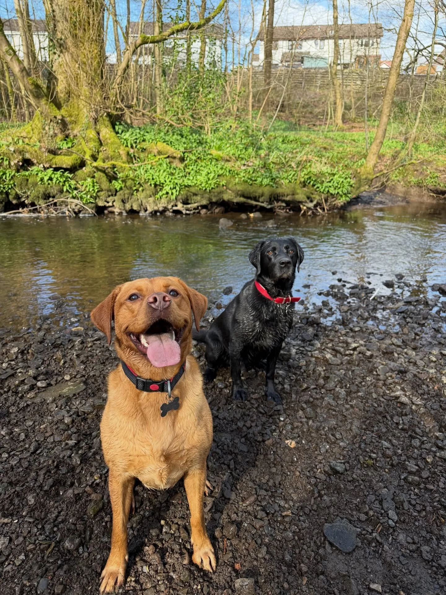 Happy Friday faces 🥰 

Our Chiropractor Stephanie also treats animals via @mcgregoranimalchiro which is a mobile service. Get in touch for more details 🐾🐴