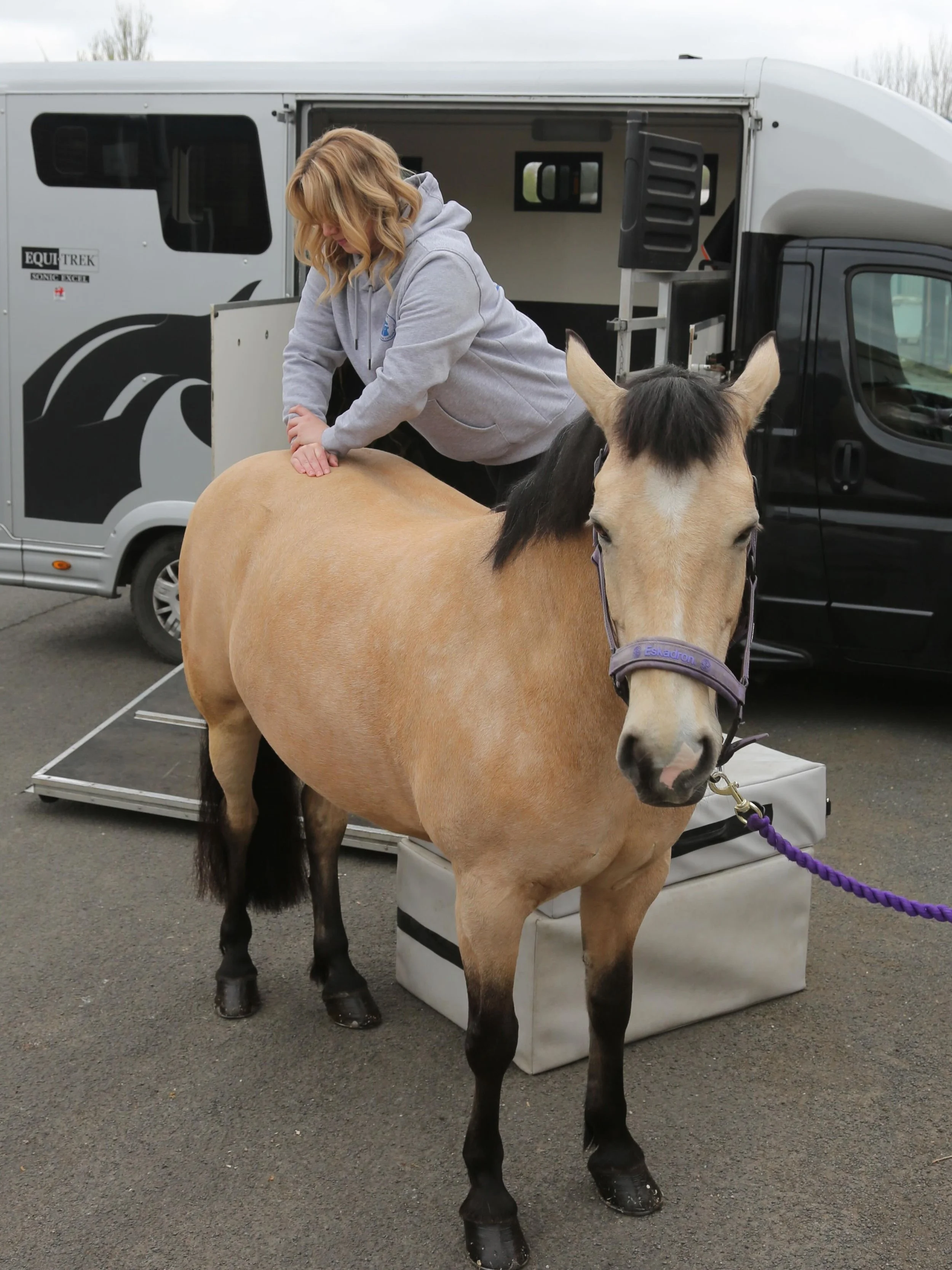 Stephanie has been kept busy seeing horses &amp; dogs as well as humans recently 🐾 

Animal Chiropractic appointments are mobile, she will come to you. Get in touch for further information 🐎
