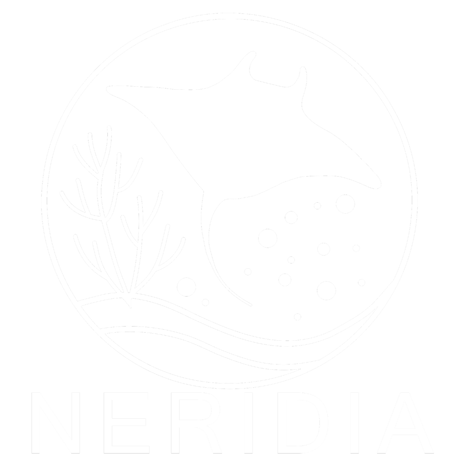 Neridia