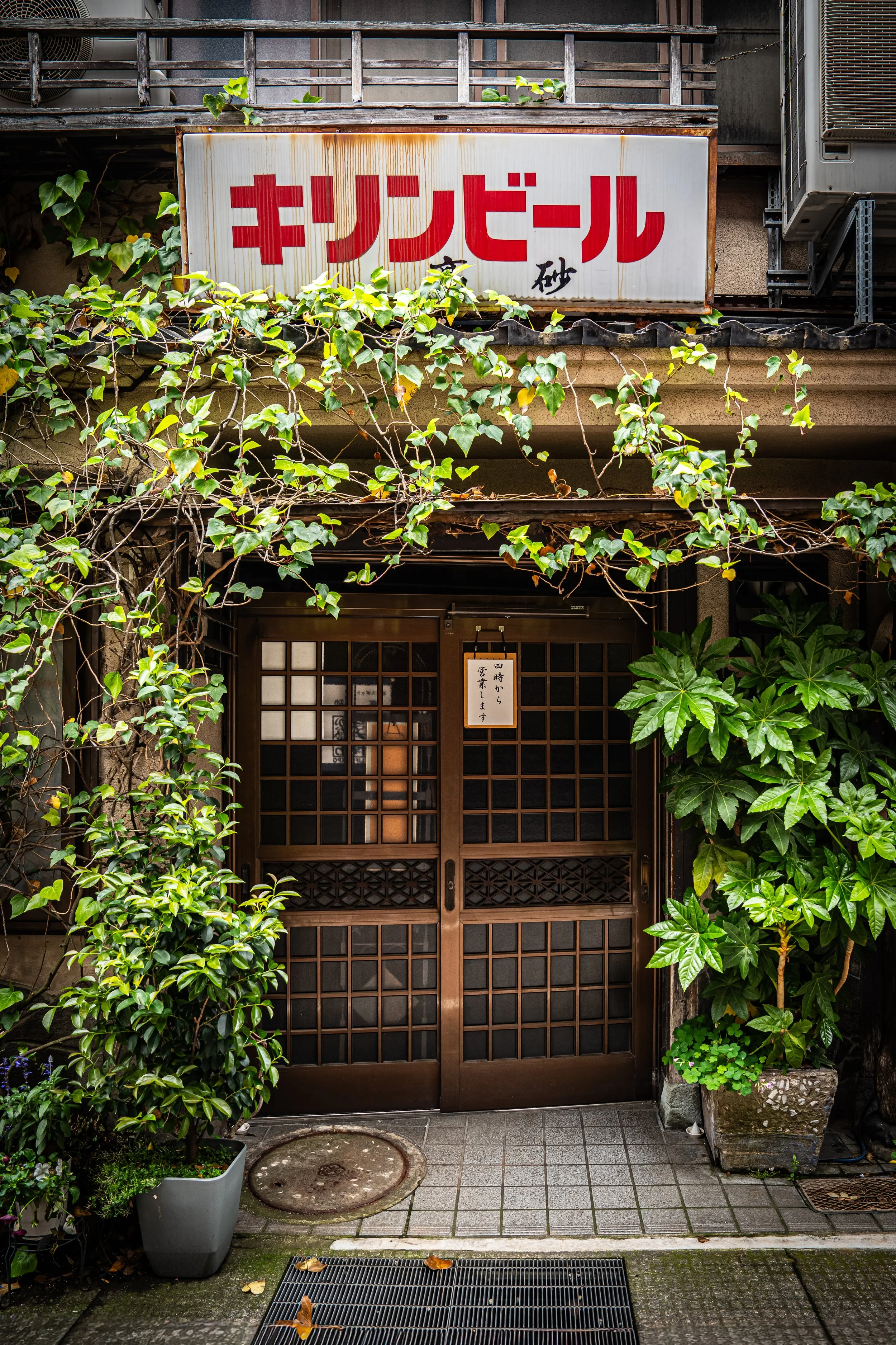 DSC04833.jpg