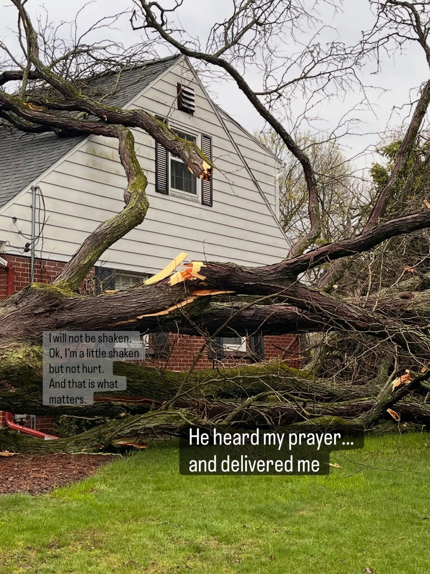 We know he&rsquo;s with us. He told us his name is Emmanuel. Most days we live unaware of what that means. Some days it&rsquo;s absolutely clear. God is with us.

Grateful for his protection. Resting in his restoration. Confident in his presence and 