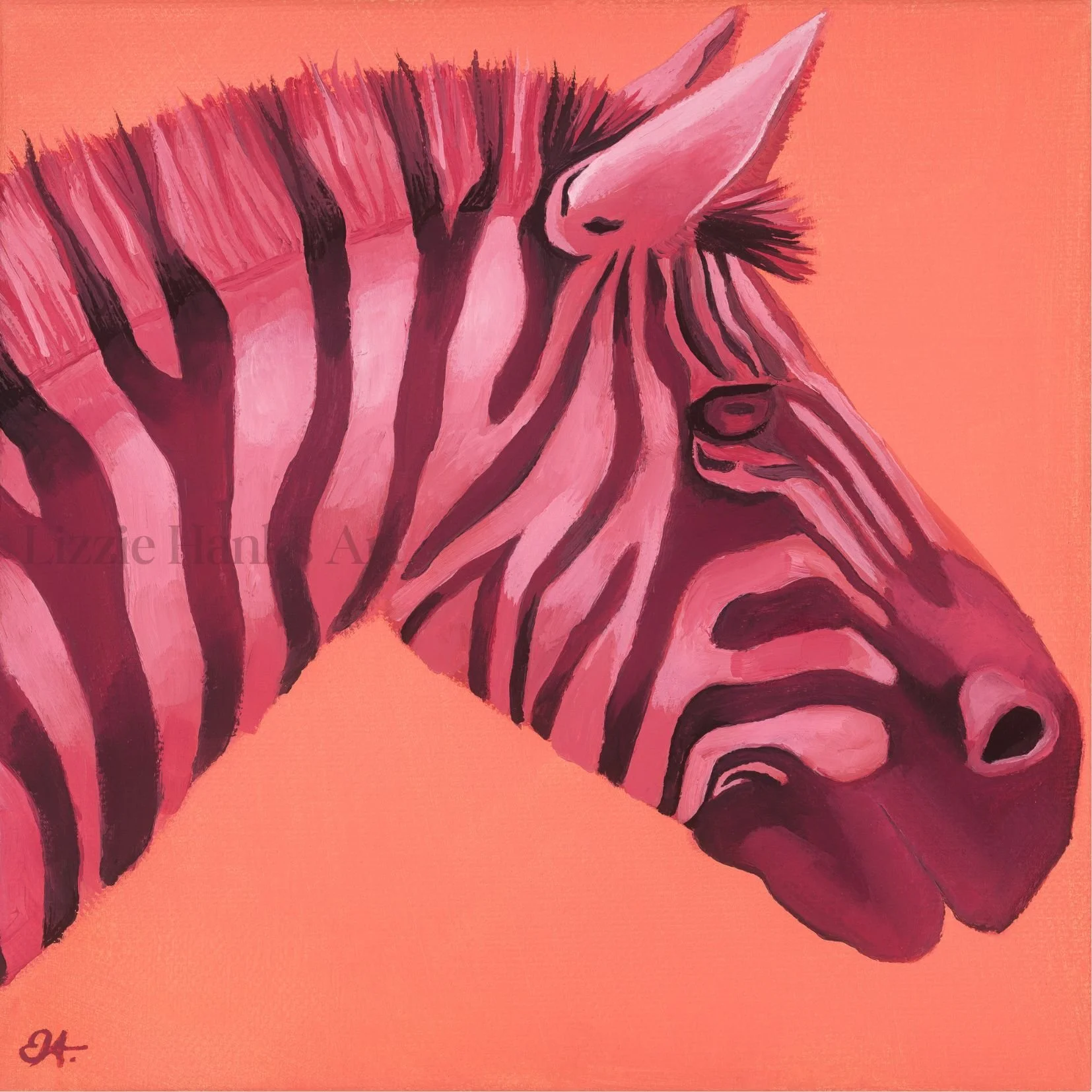 pink-zebra_CR_Lizzie-Hanks.jpg